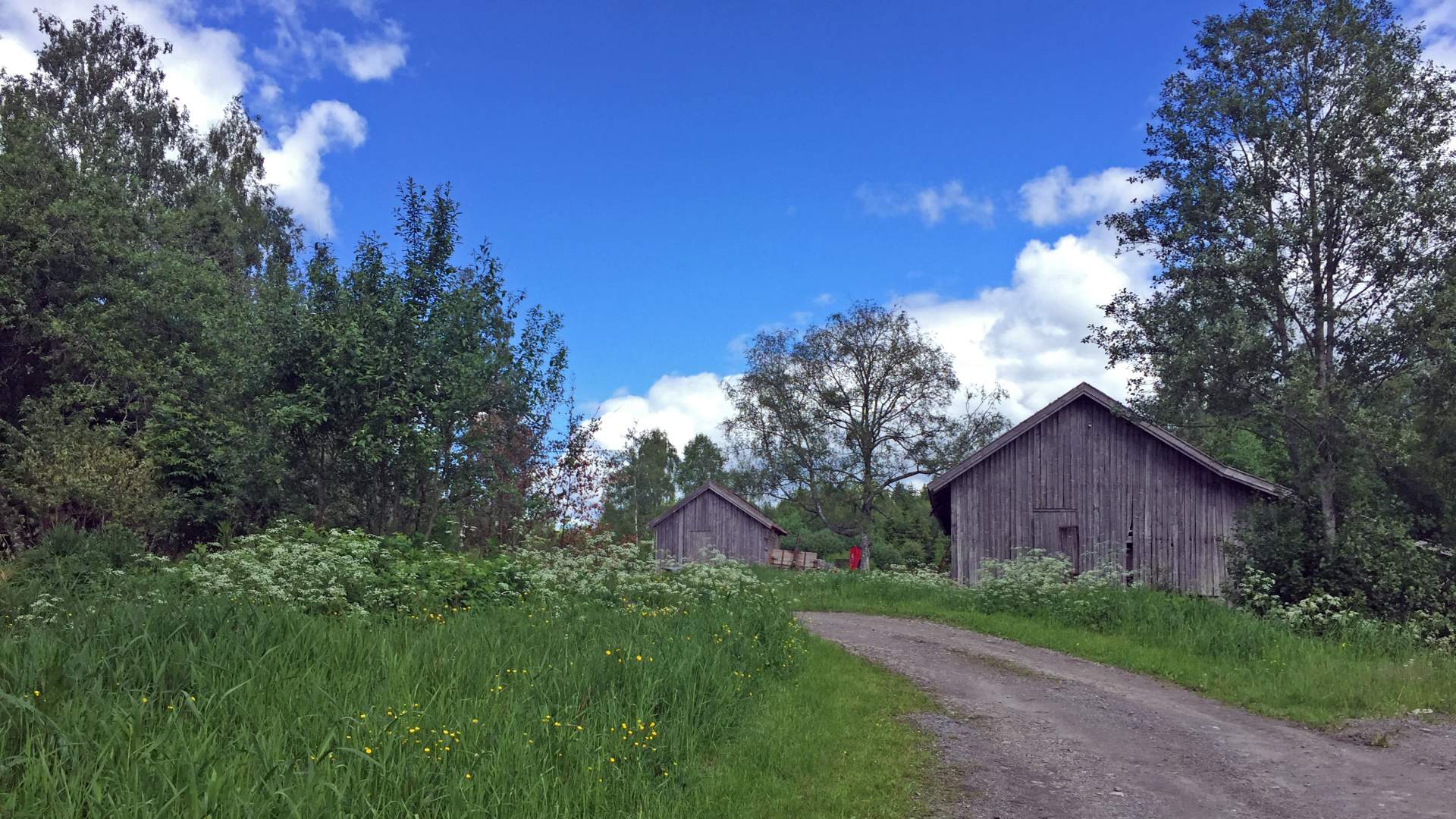 Krosser vei og gammelt uthus