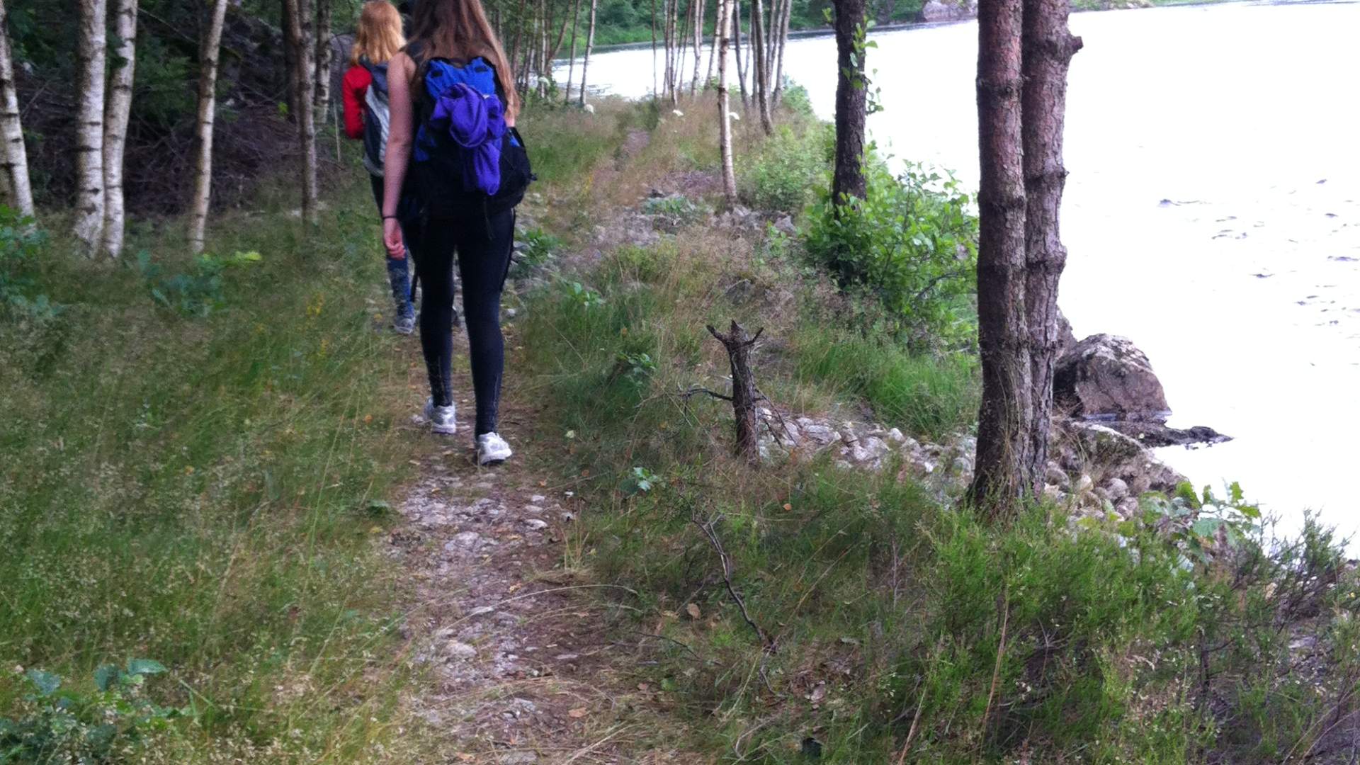 Siv Hemsett - Barnevandrerstien Etappe 4