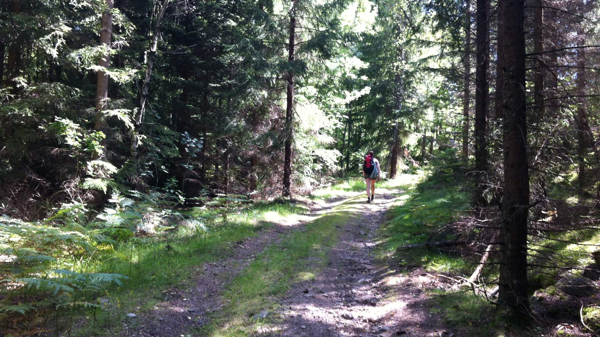 Barnevandrerstien etappe 7