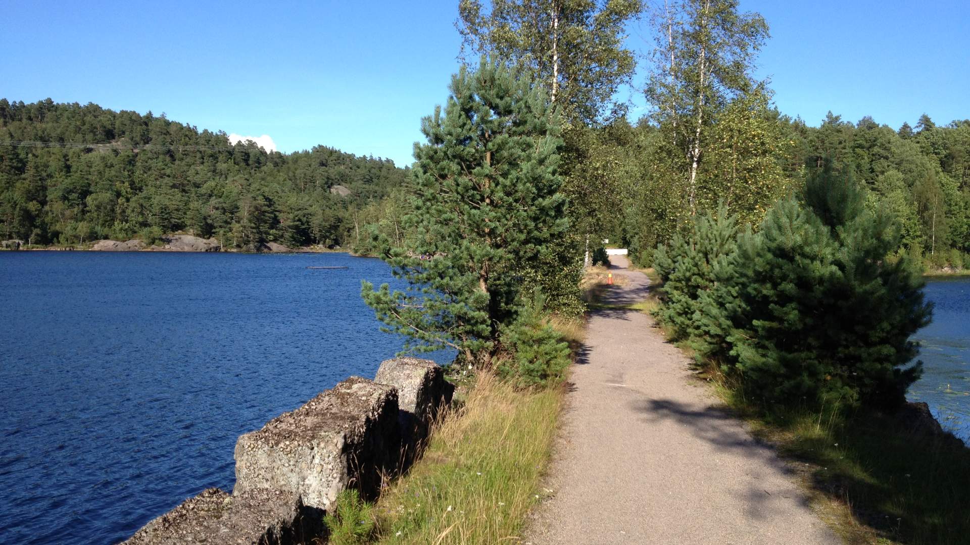Kvislevann