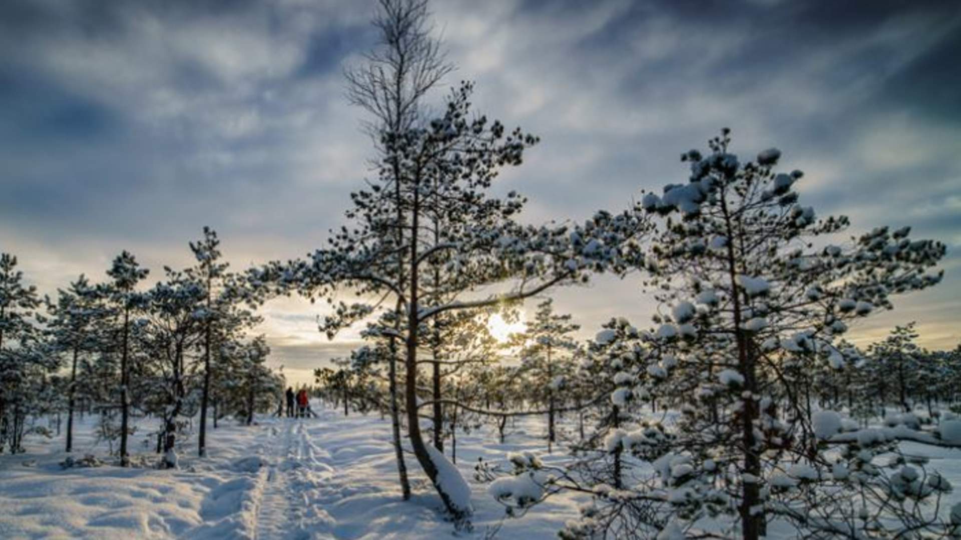 Sjeip-øpp Vind og Øverby vinter