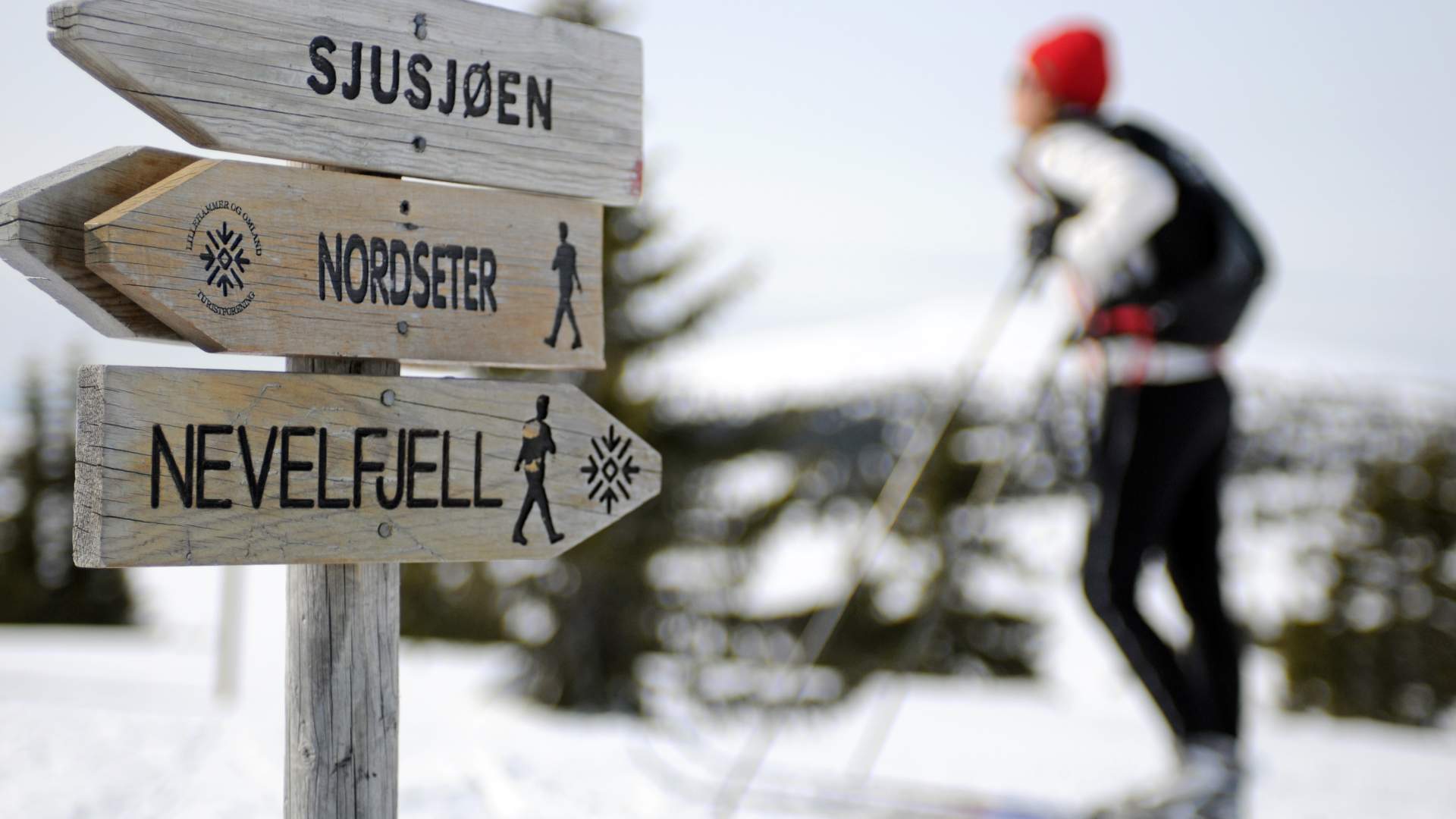 Sjusjøen