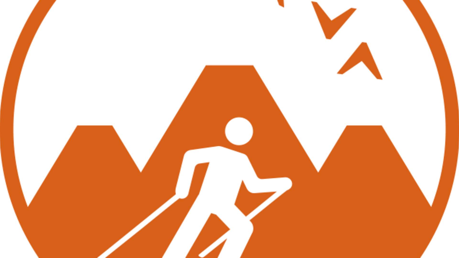 Skøyteski-oransje-RGB