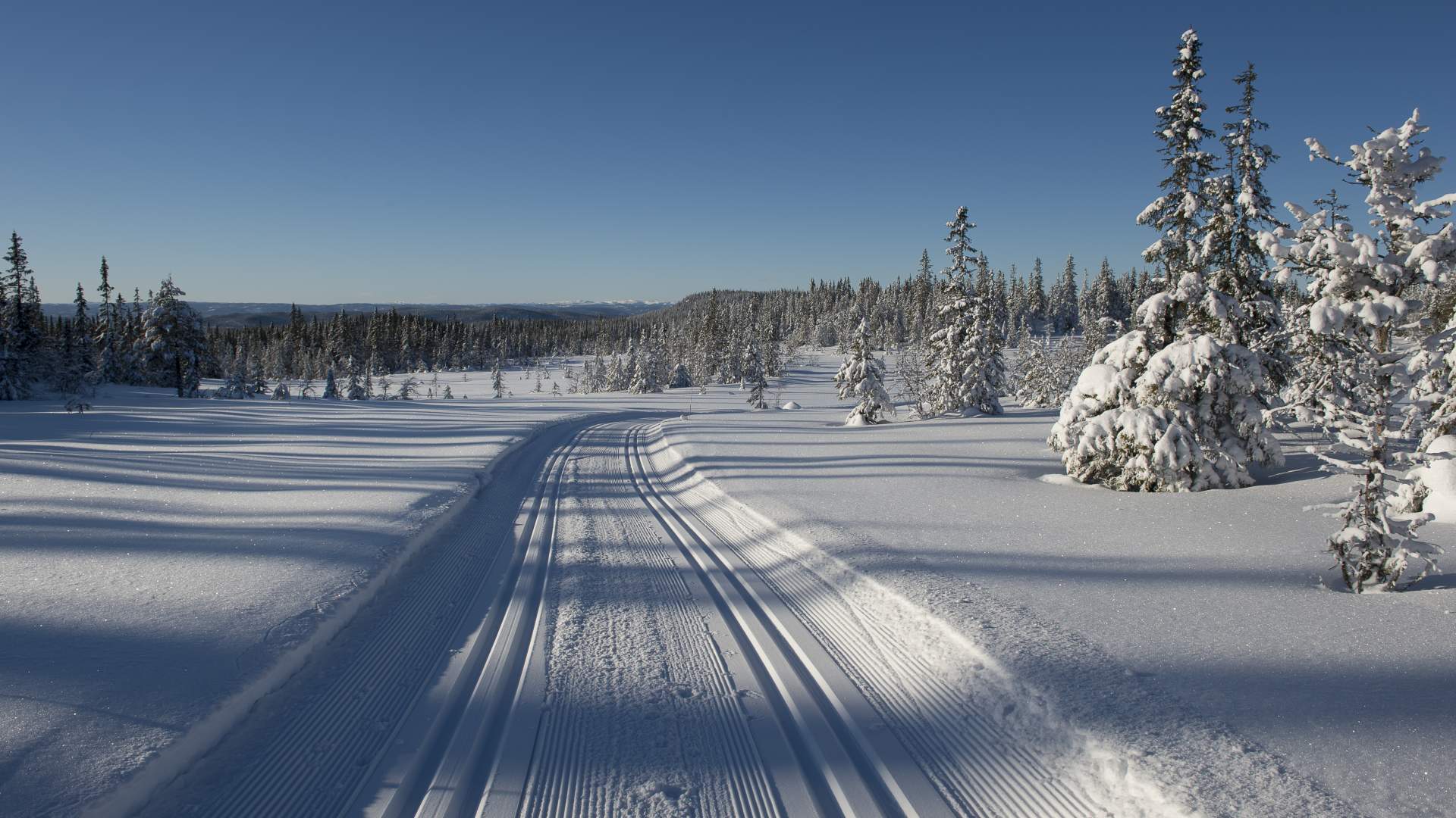 Skiløyper  på Toten