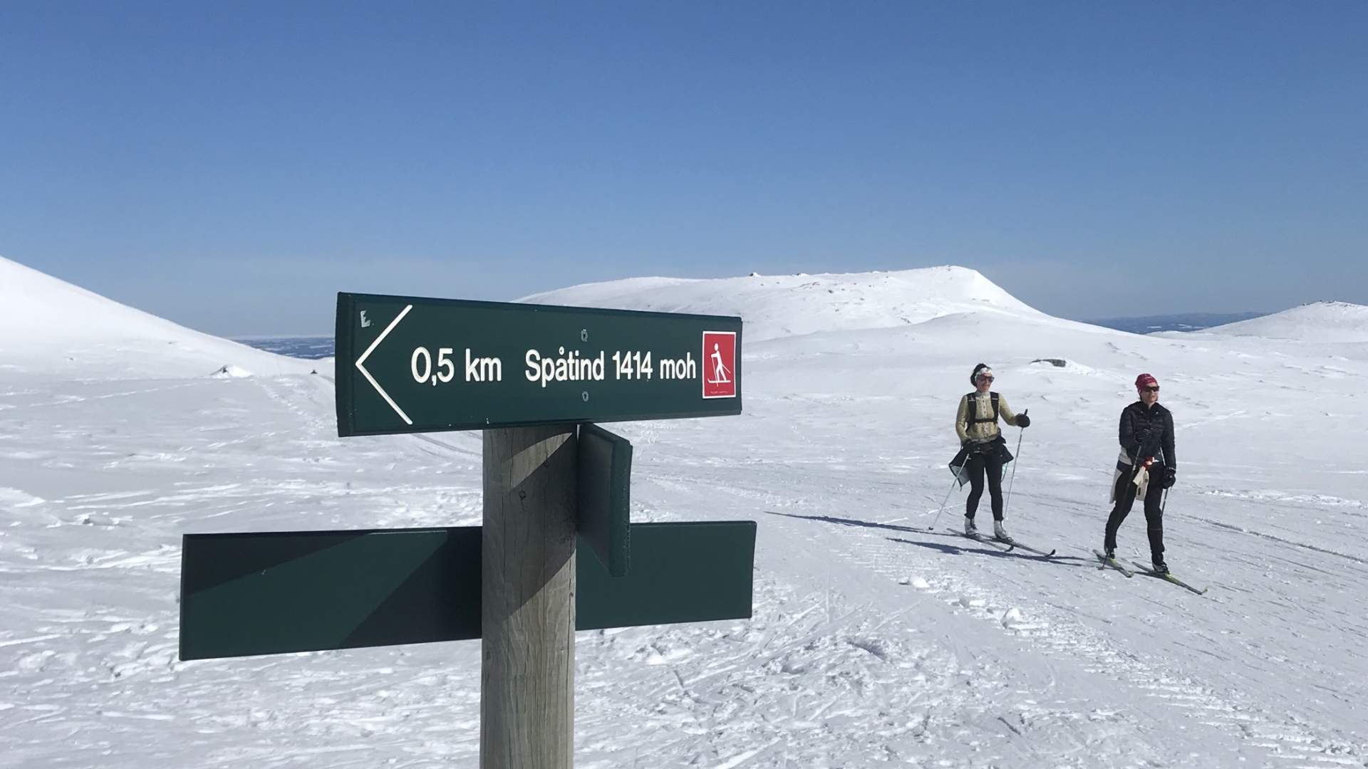 Skilt vinter