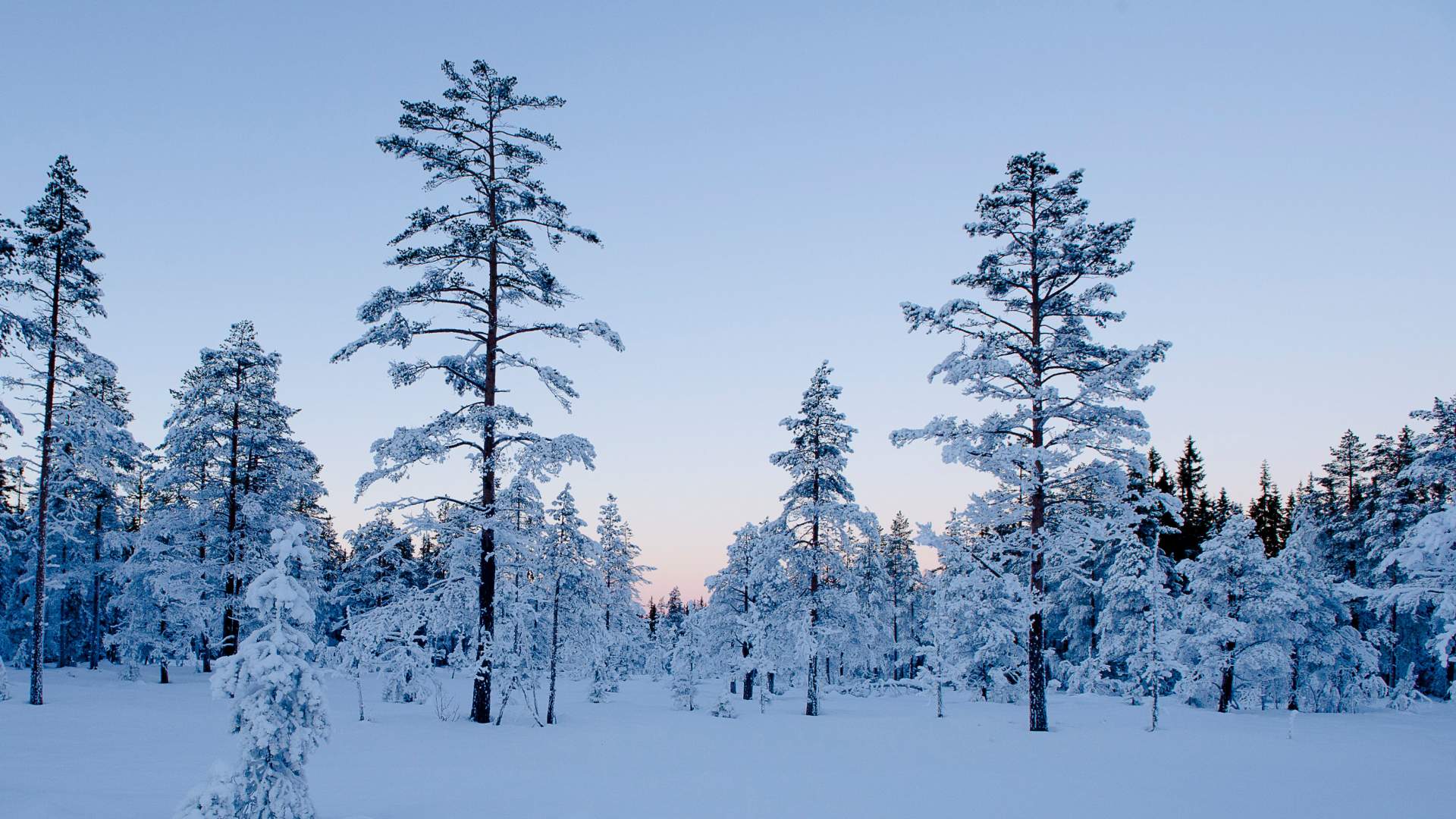 Skitur - Foto Bjørn Stuedal