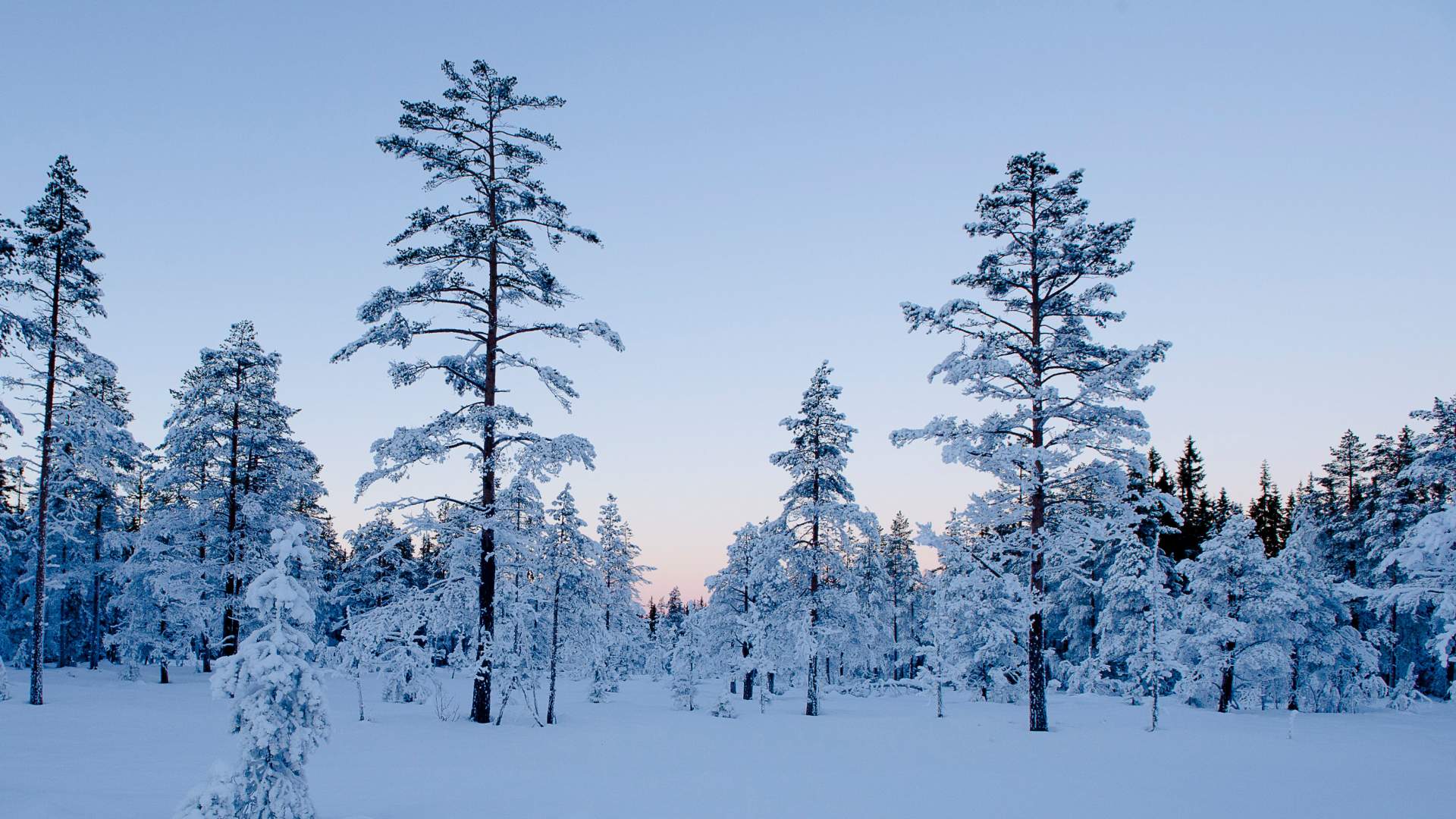 Skitur - Foto  Bjørn Stuedal