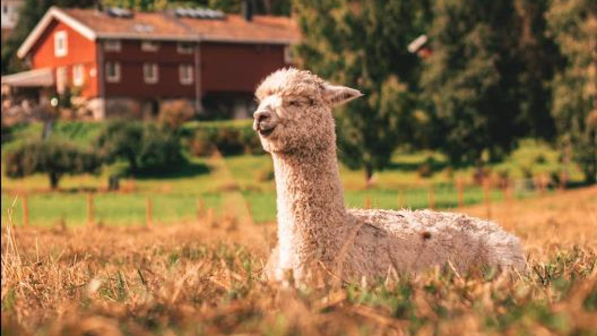 Skjermbilde 2021-11-05 kl. 10.17.21