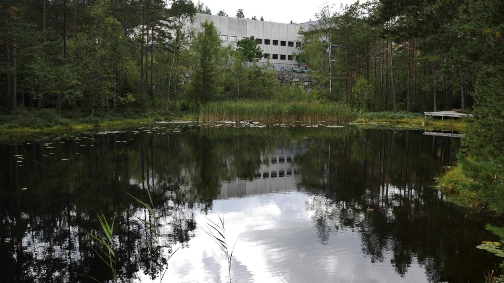 Salamanderparken