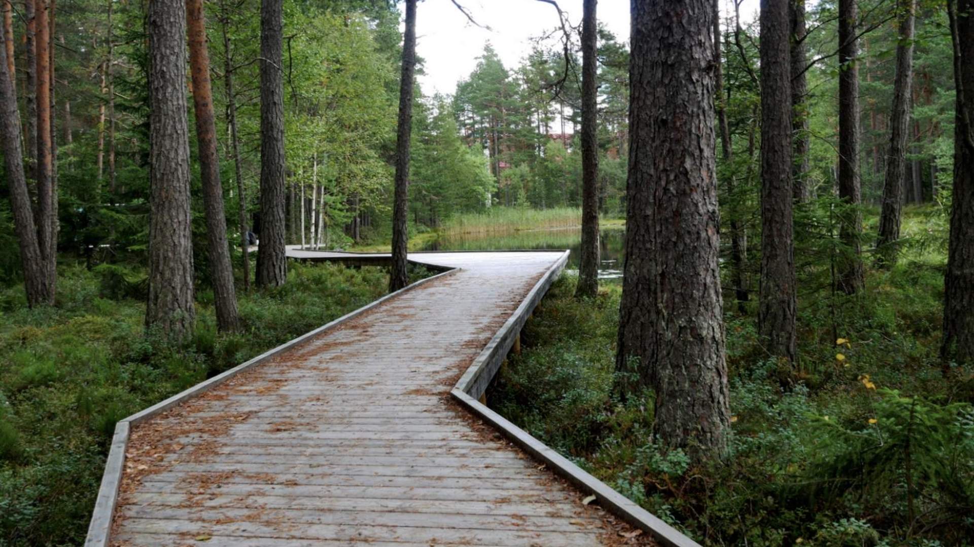 Salamanderparken