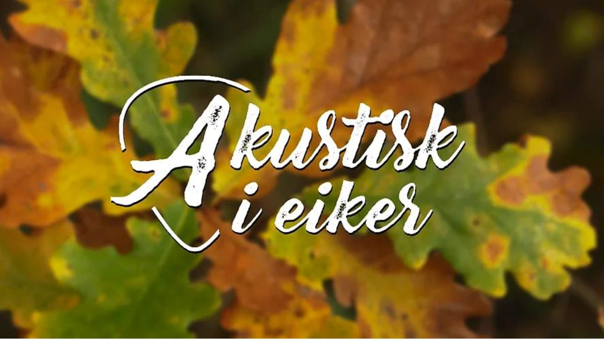 Skjermbilde 2023-02-14 kl. 11.49.39