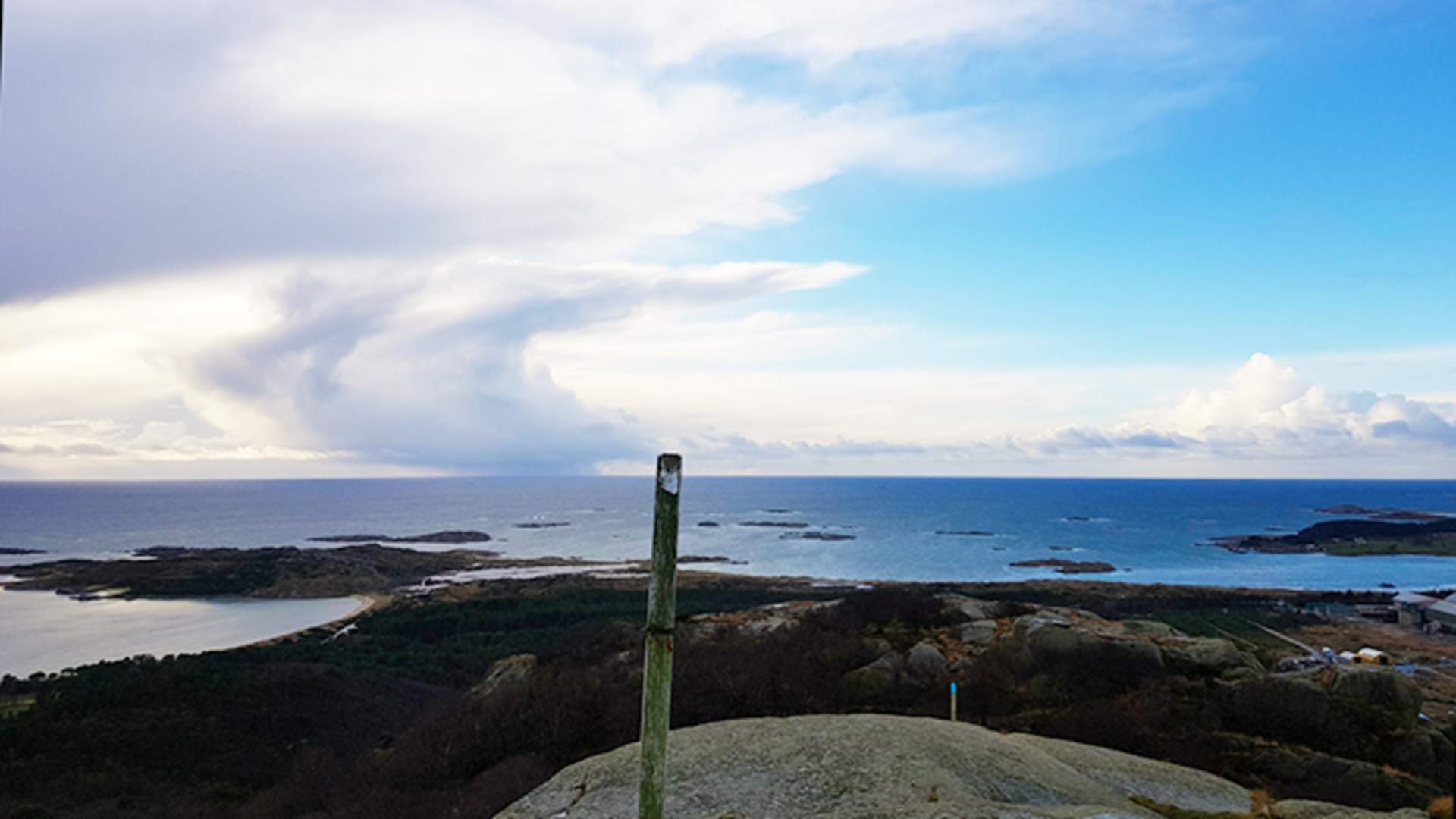 Skjoldnesveten
