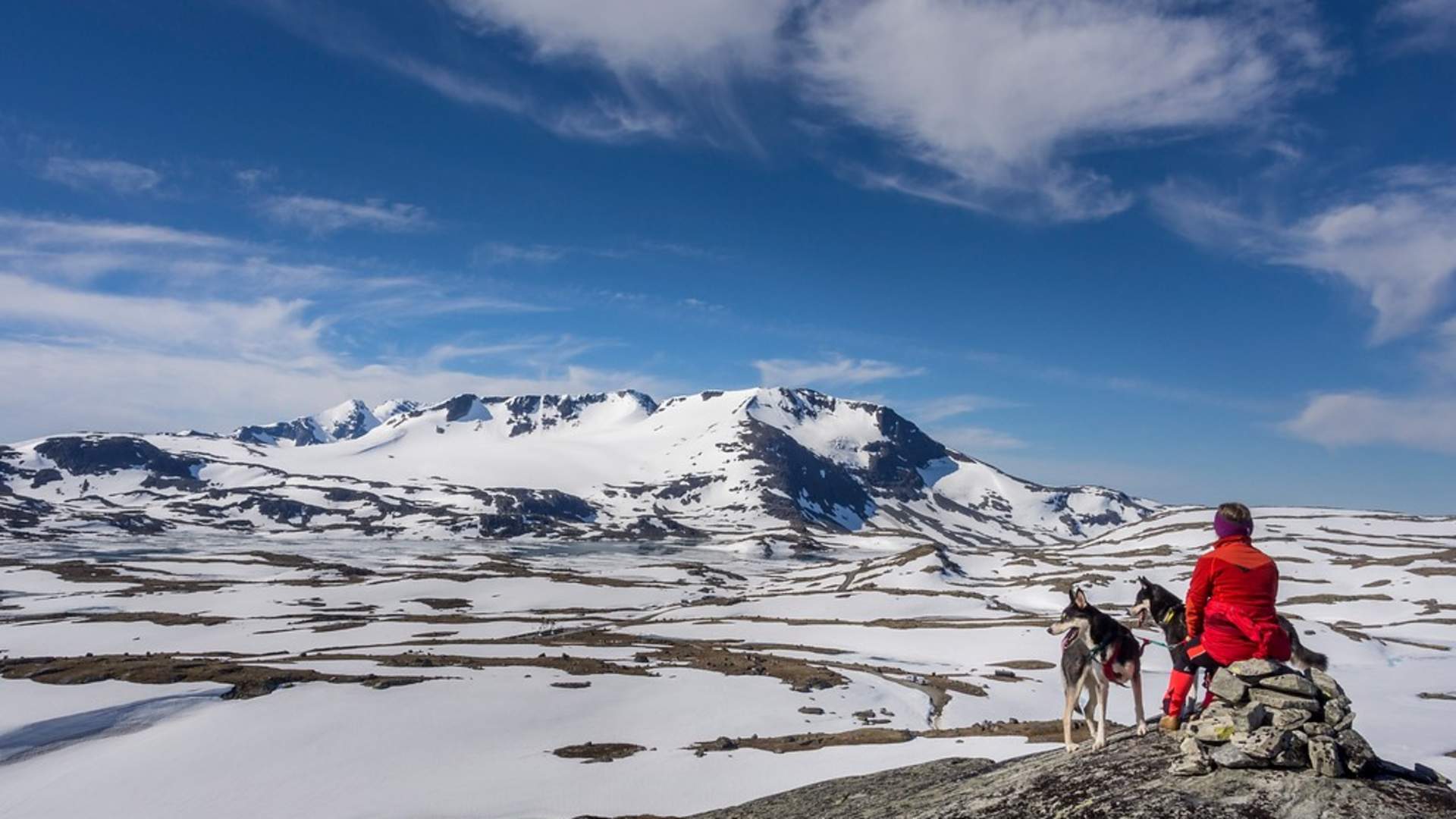 Sognefjellsvegen_Foto Werner Harstad Statens vegvesen