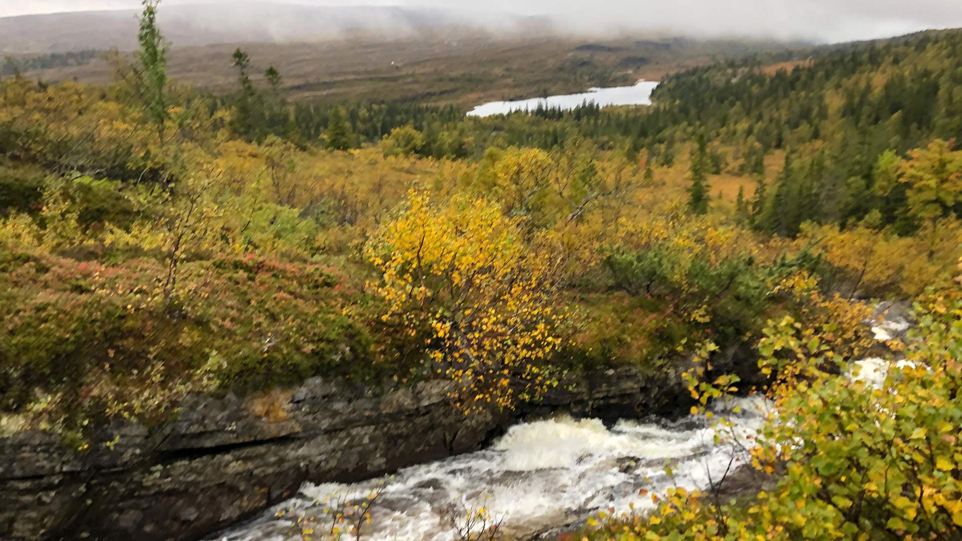 Snåsa Plukkutjønnfjellet tur 2021 Foto Linn Marita Larsson  (1)