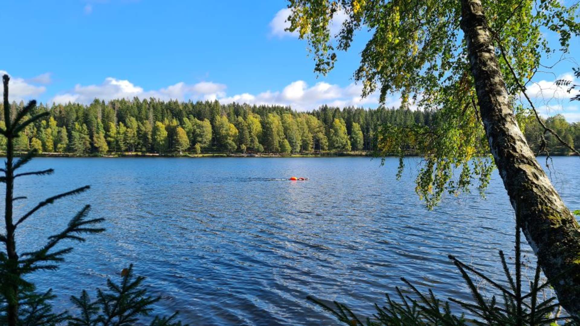 Sognsvann_VO08422_Foto_Fara_Mohri