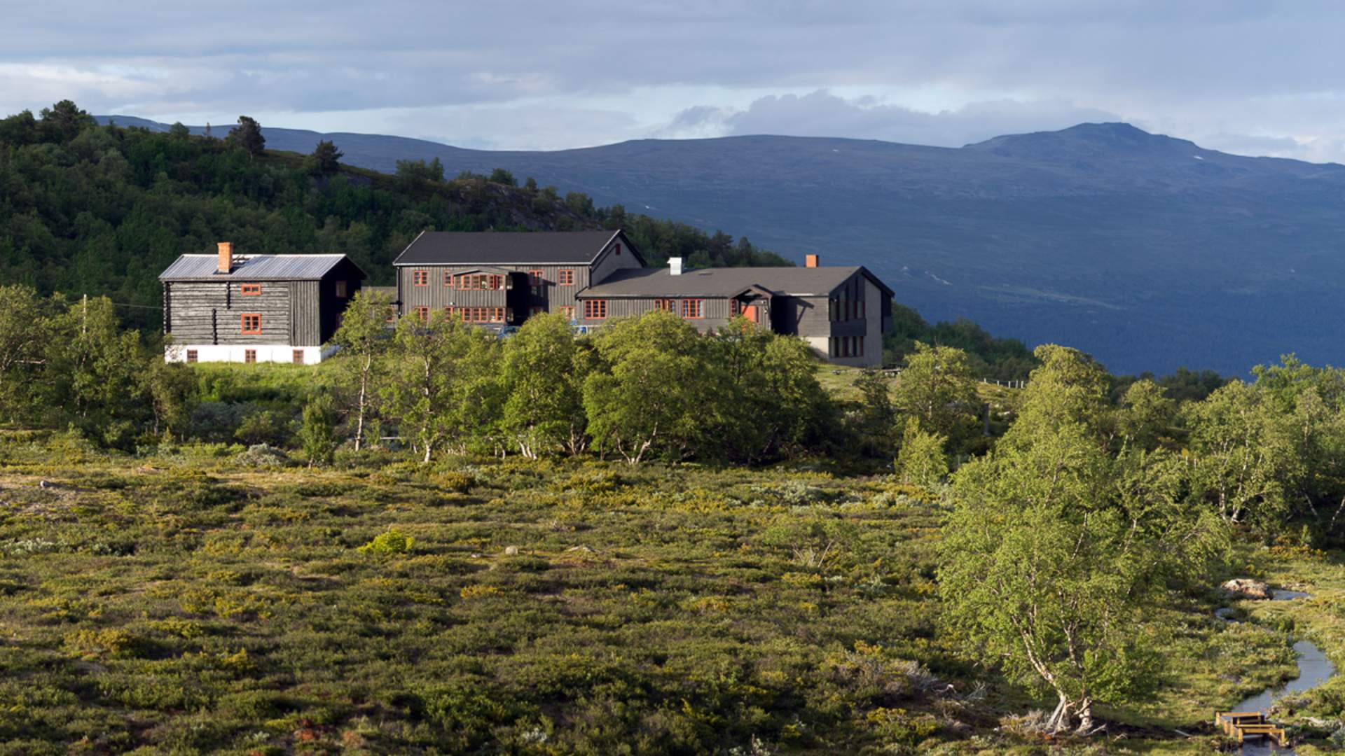 Soleggen_ØyvindGuldbrandsen_red- Produktbilder DMS 120023