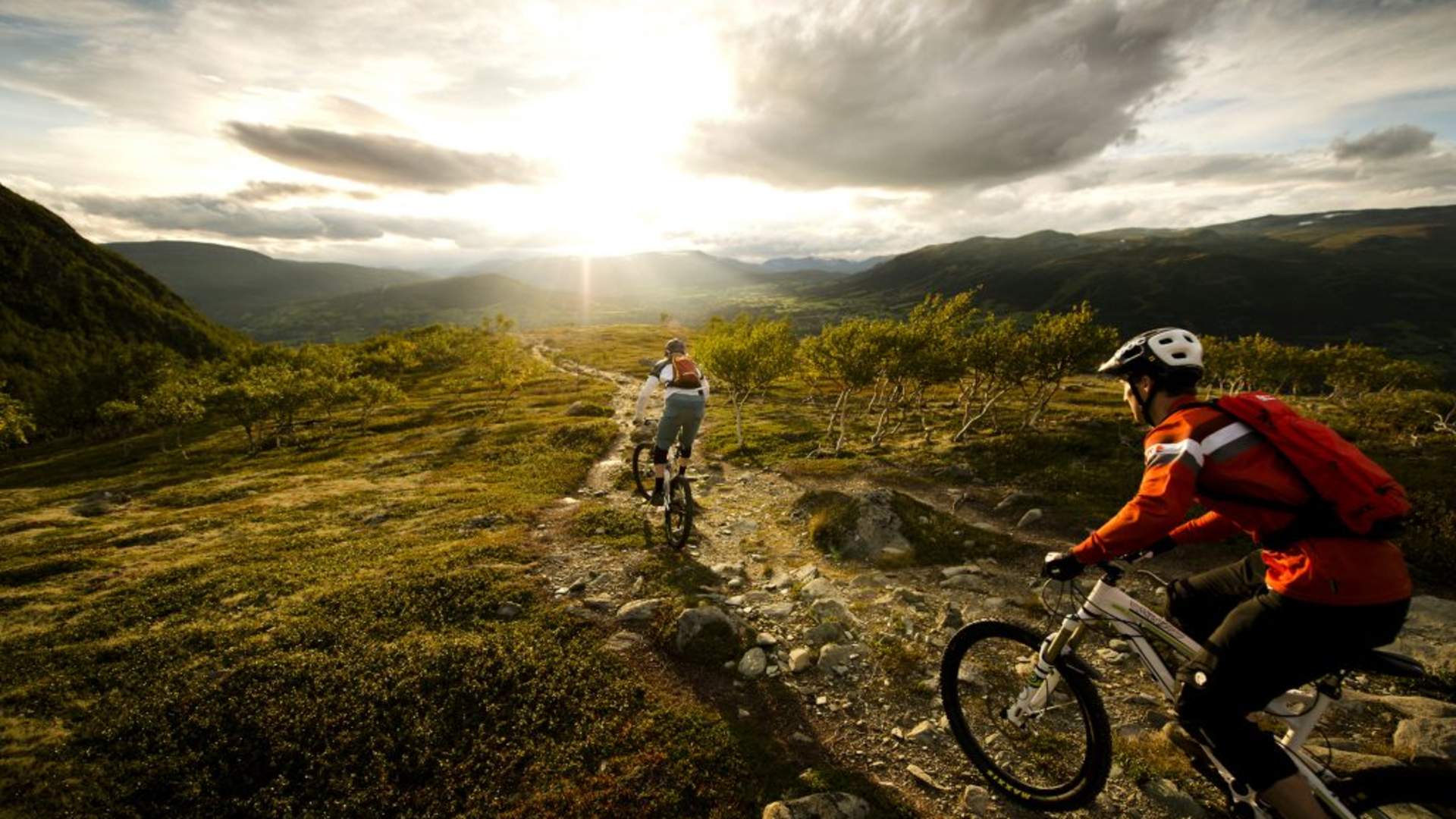 Sommer-sti-syklingMID-nett-1024x684