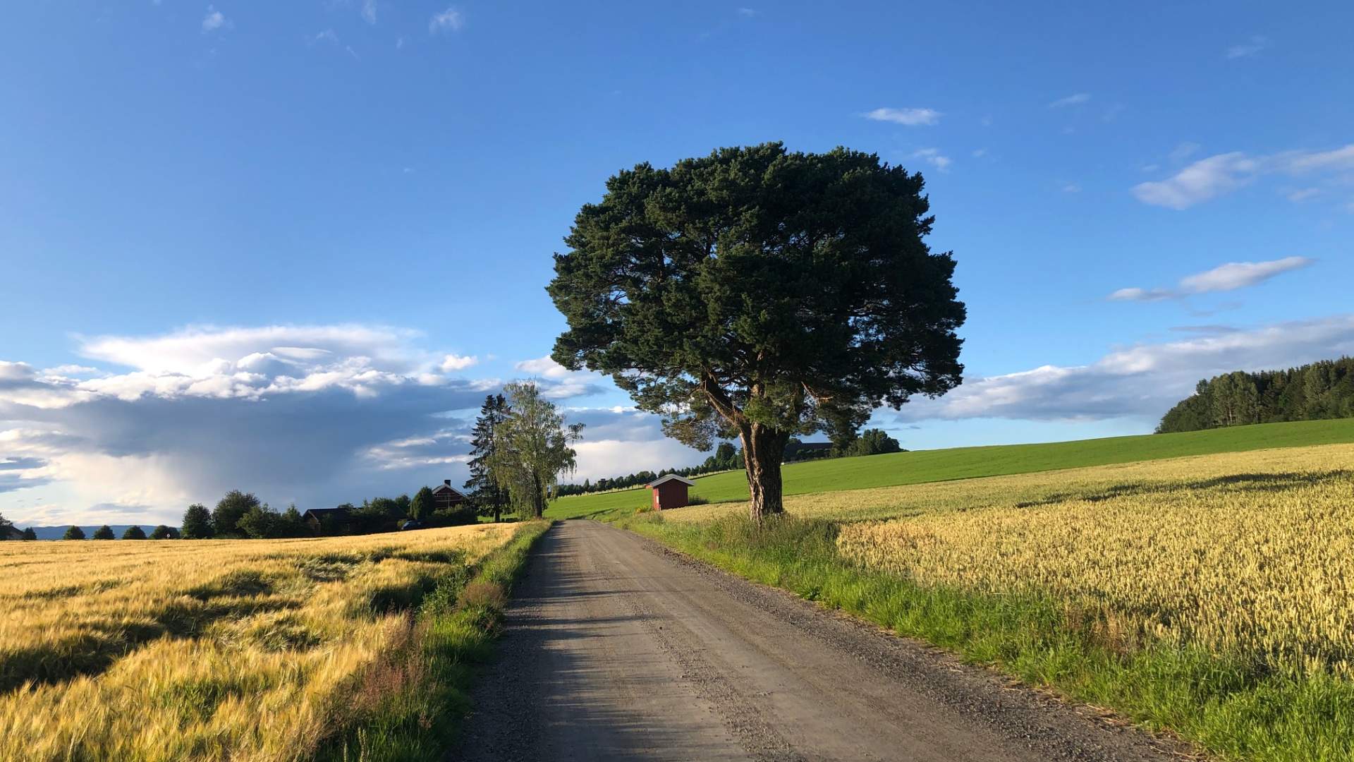 Stange Vestbygd Foto Hamarregionen