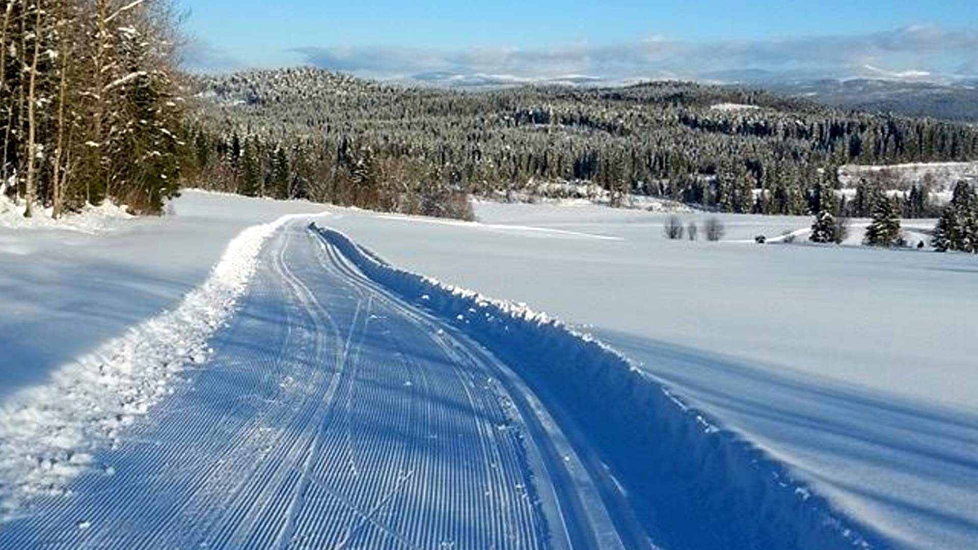 Steinkjer-Midterfjellet-Skiløype-Vinter-sol-(10)