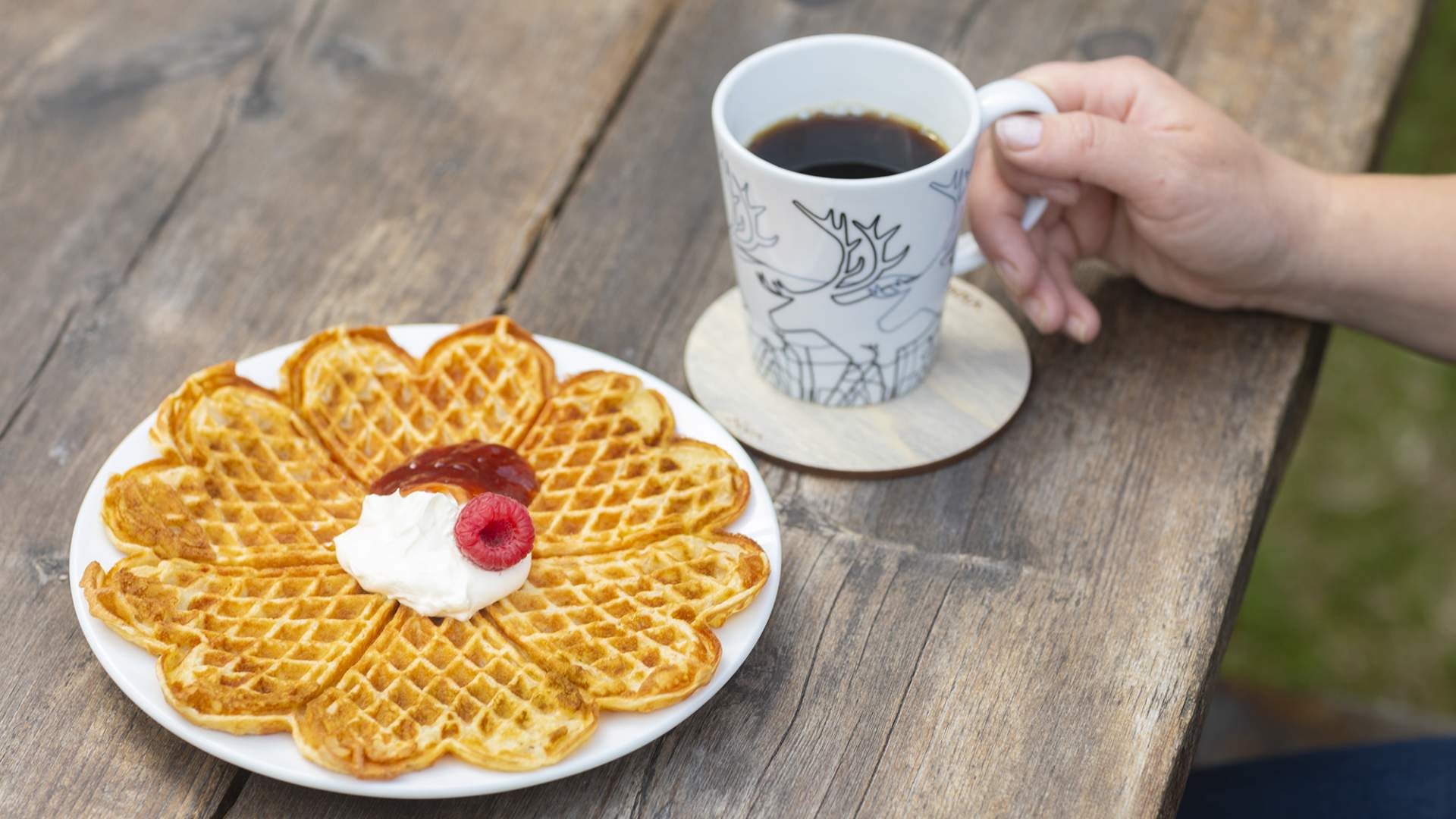 Steinkjer Bøla Kafe vafler