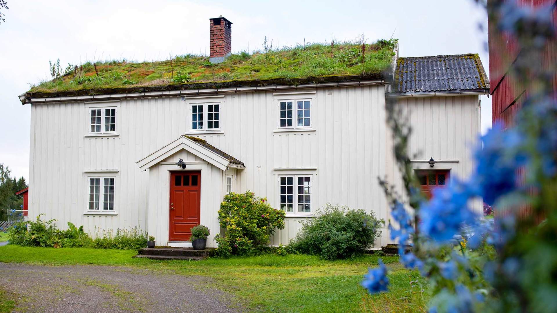 Steinkjer Mokk Gård Foto Fredrik Solstad_Hanen WEB Tellus (11)