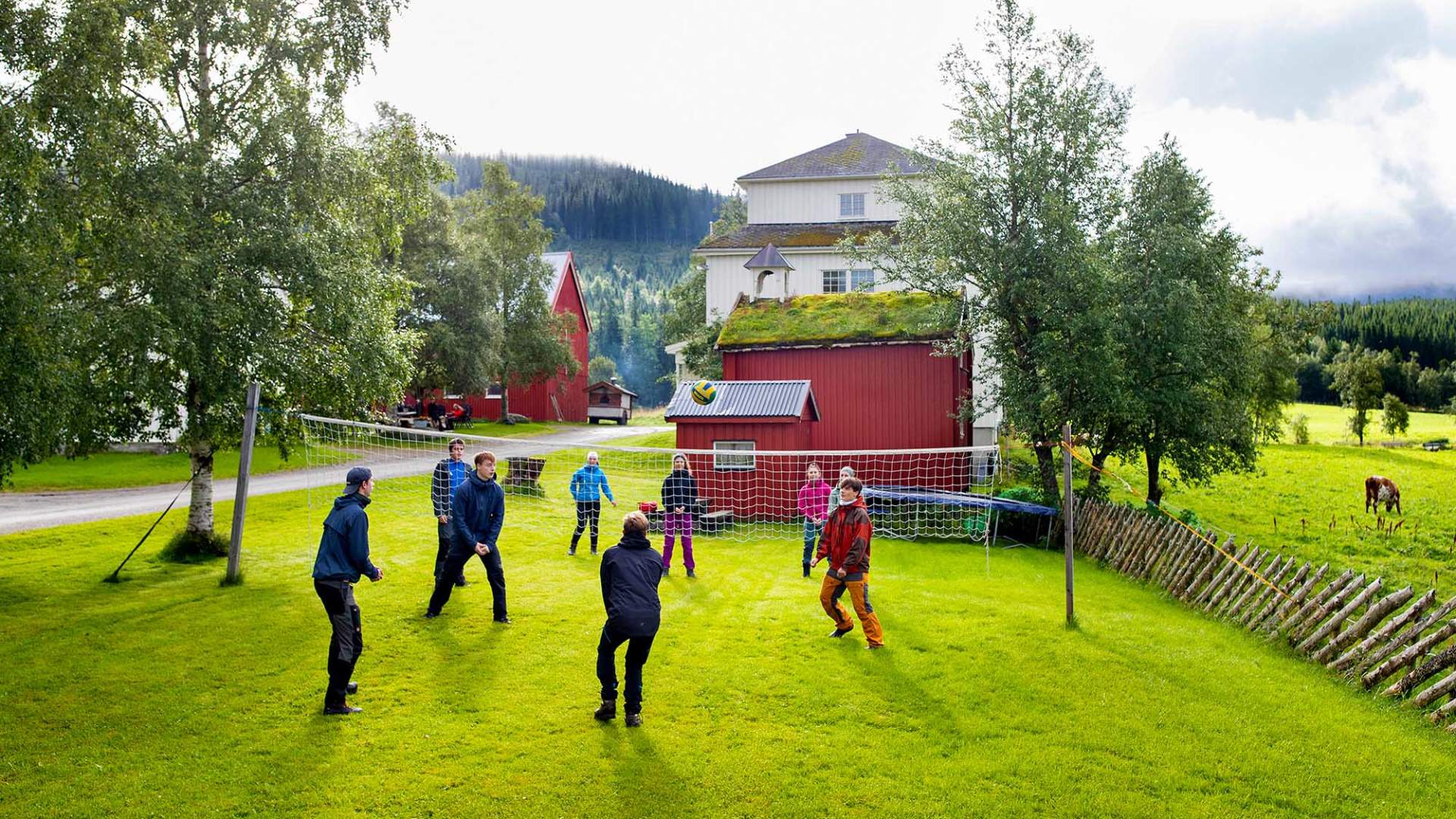Steinkjer Mokk Gård Foto Fredrik Solstad_Hanen WEB Tellus (13)