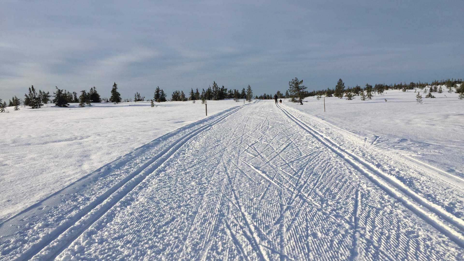 Stenfjellet, Hedmarksvidda