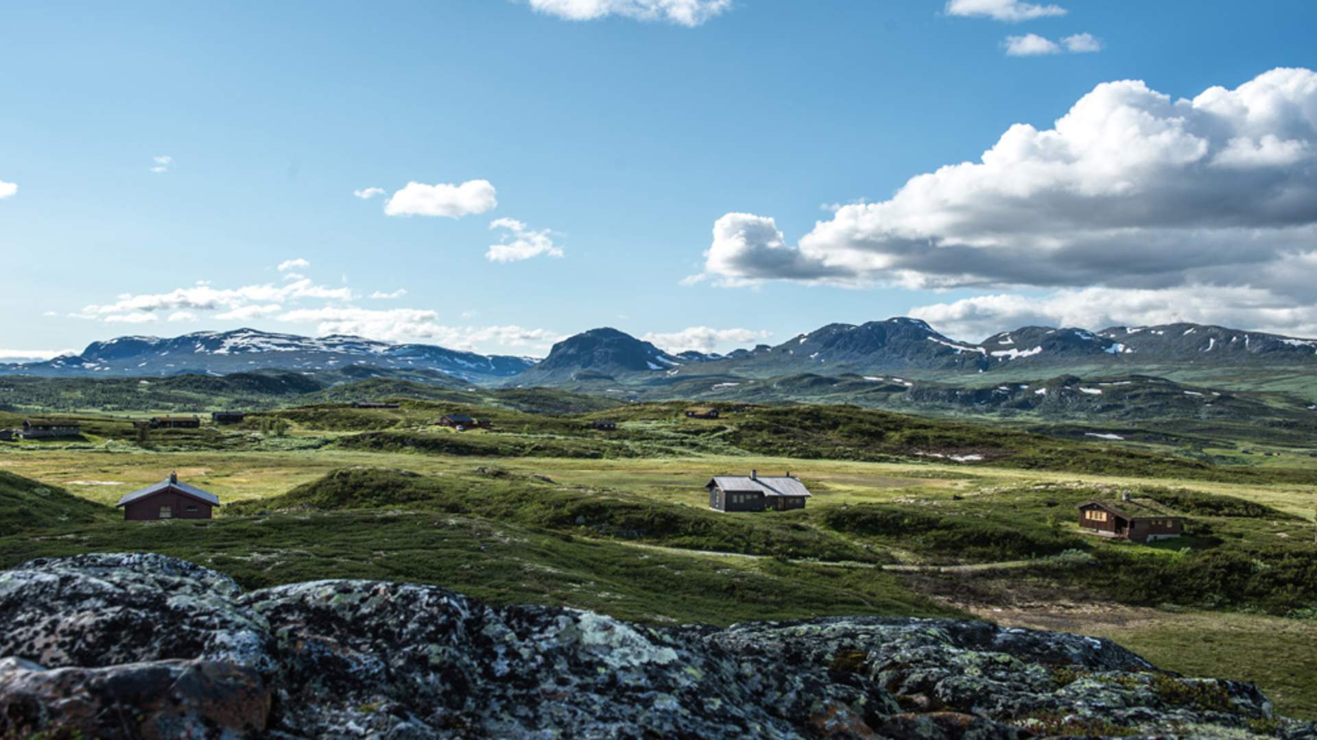 Sti og støl
