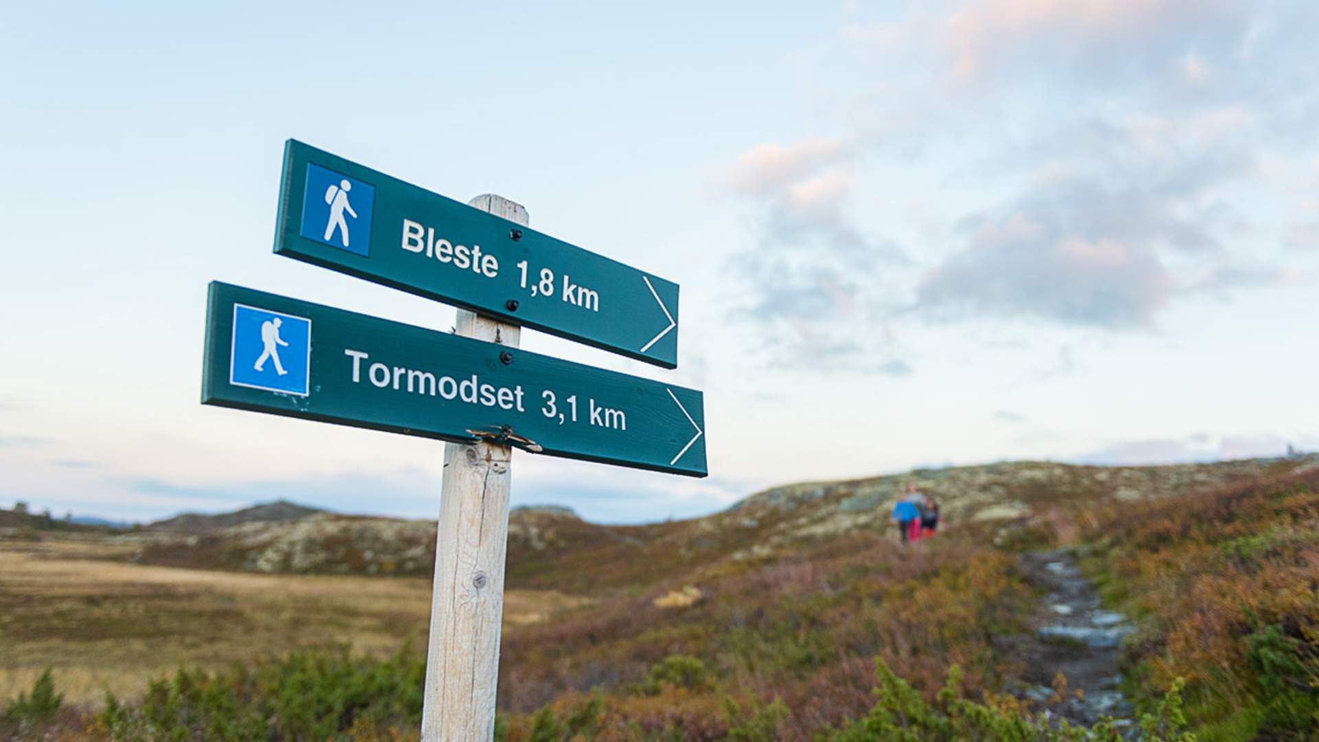 Sti og støl