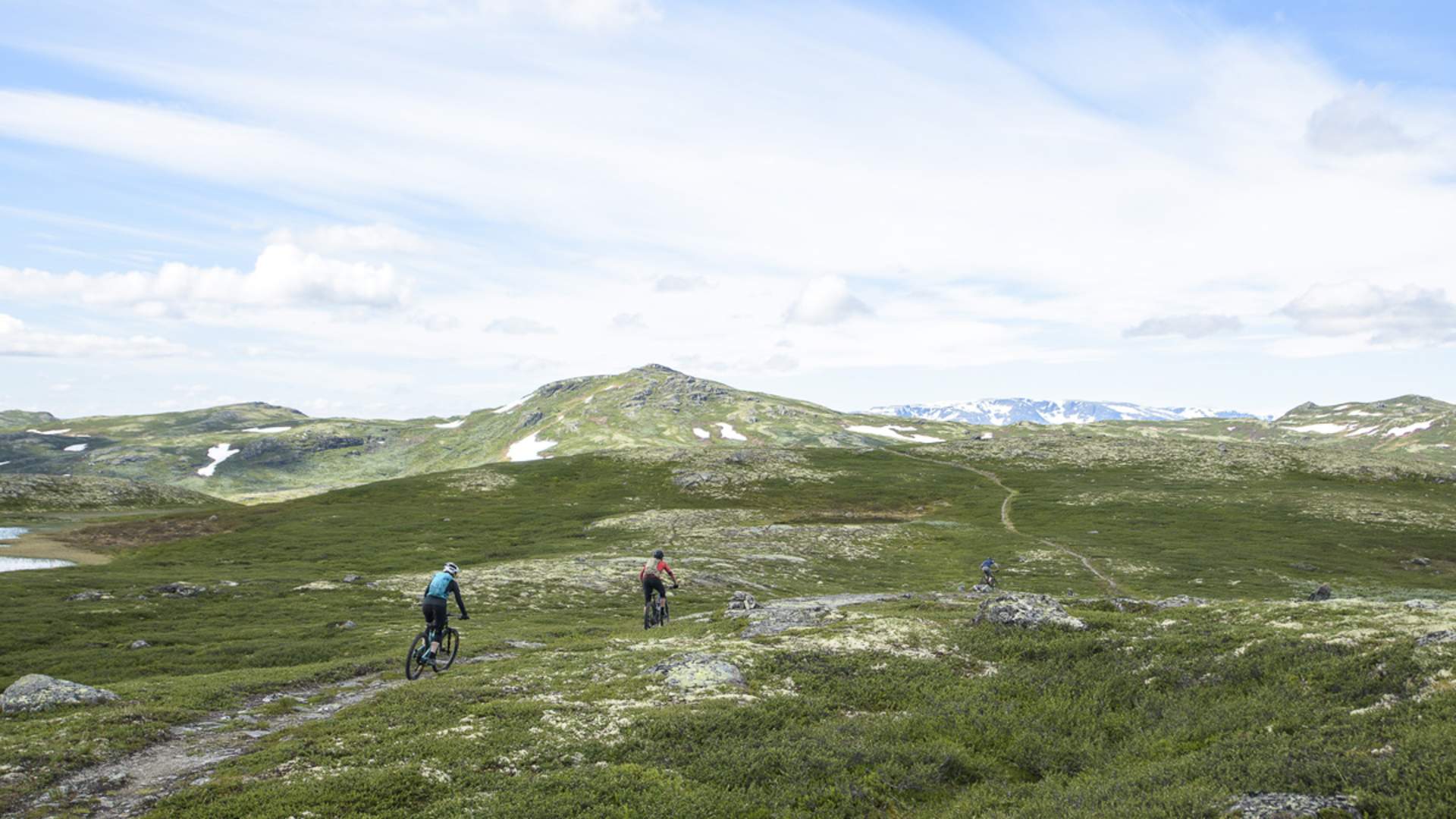 Sti og støl