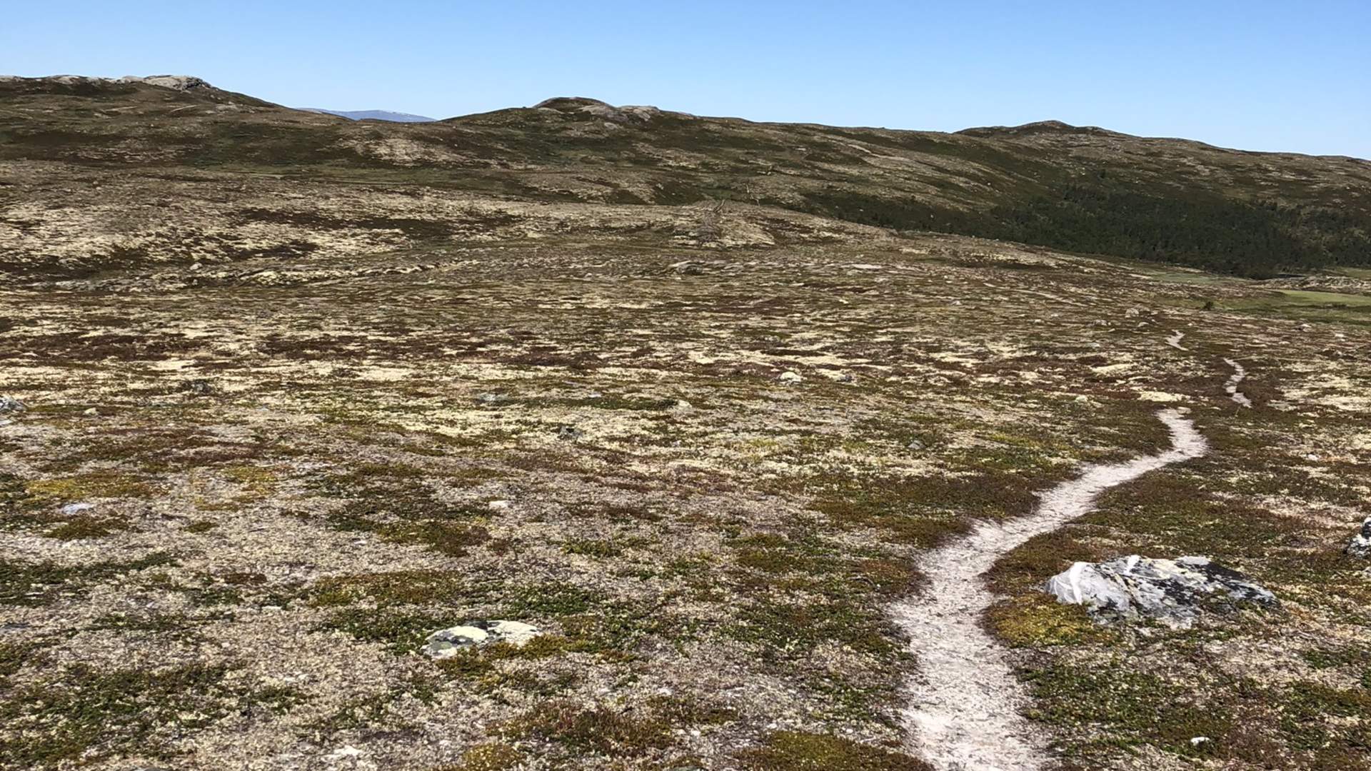 Sti snaufjell
