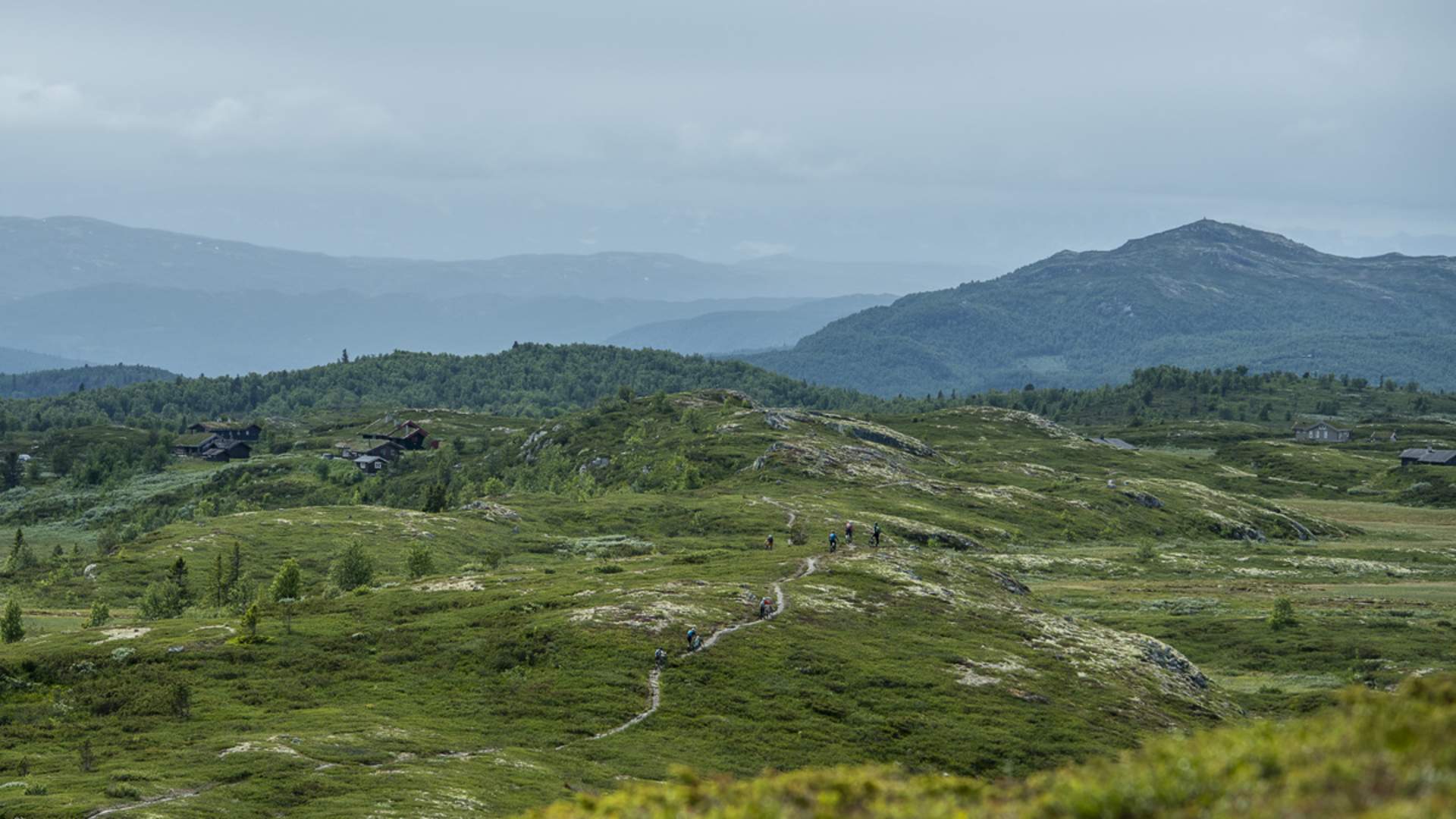 Stisykling - halv dag