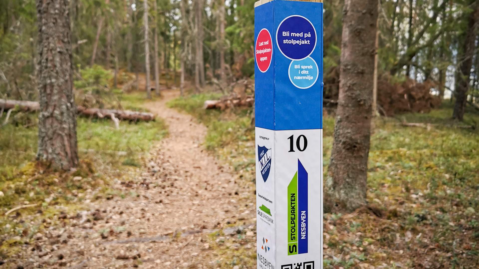 Stolpejakten Nesbyen