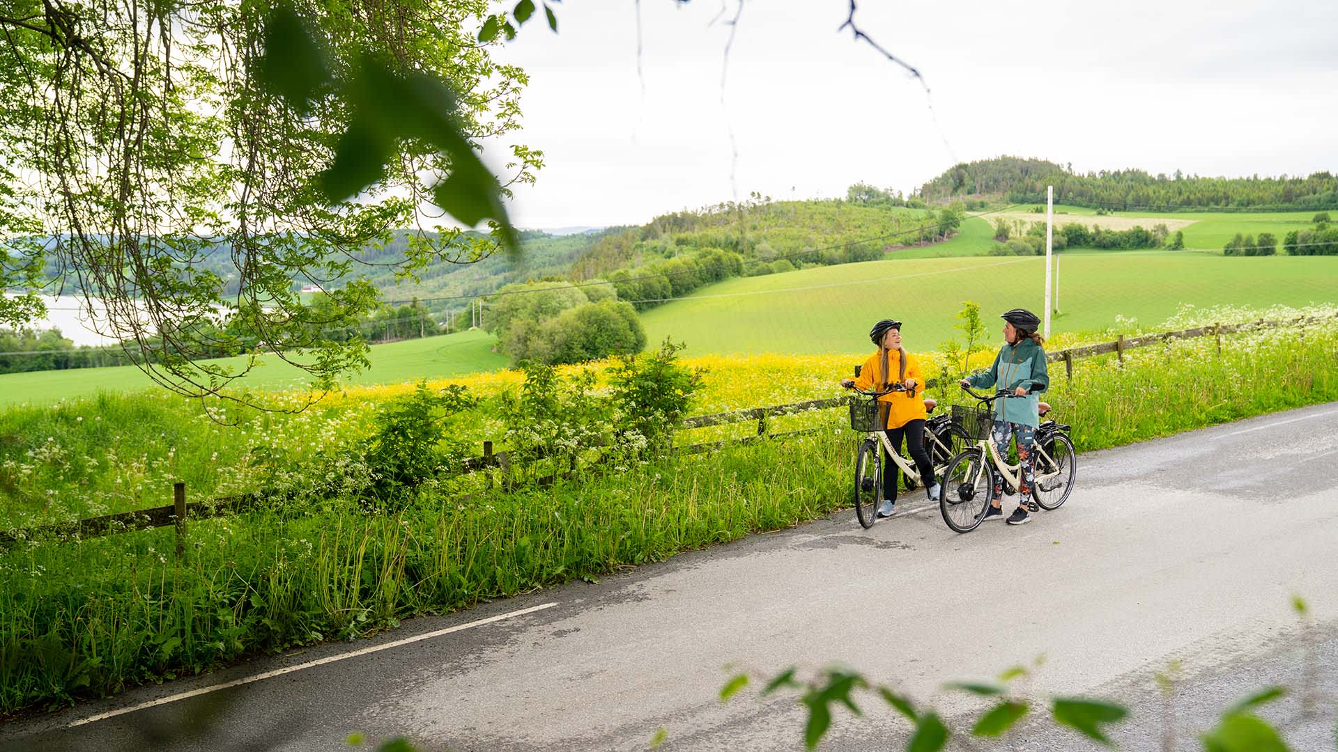 Stopping for the view - The Golden Road-Fredrik Ahlsen - Maverix