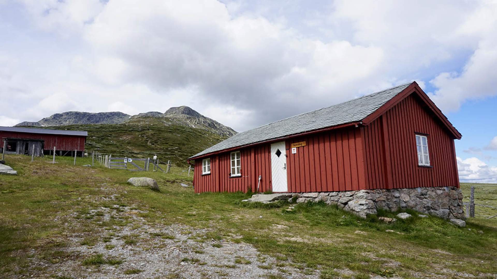 Storeskag