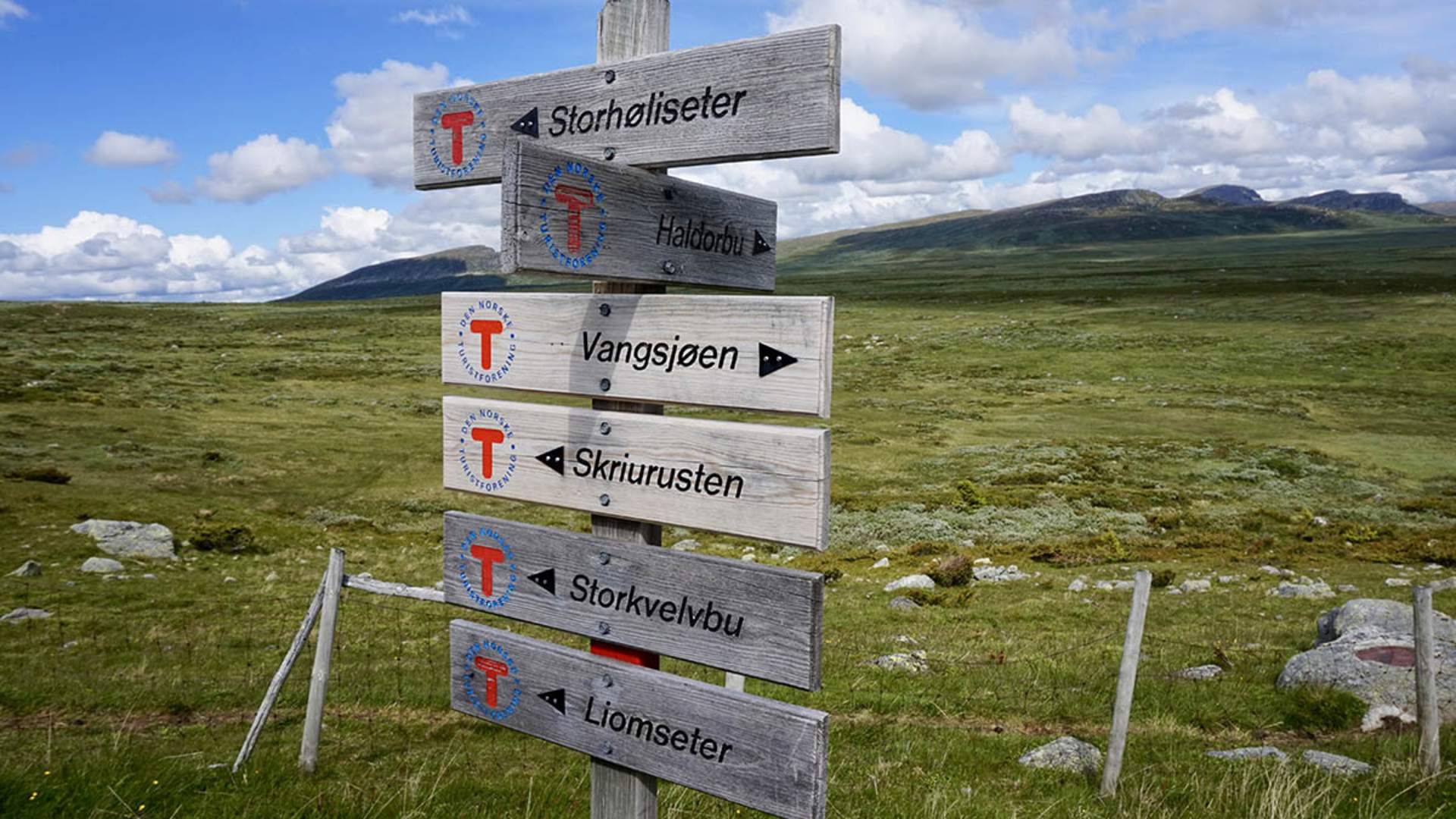 Storeskag turmuligheter