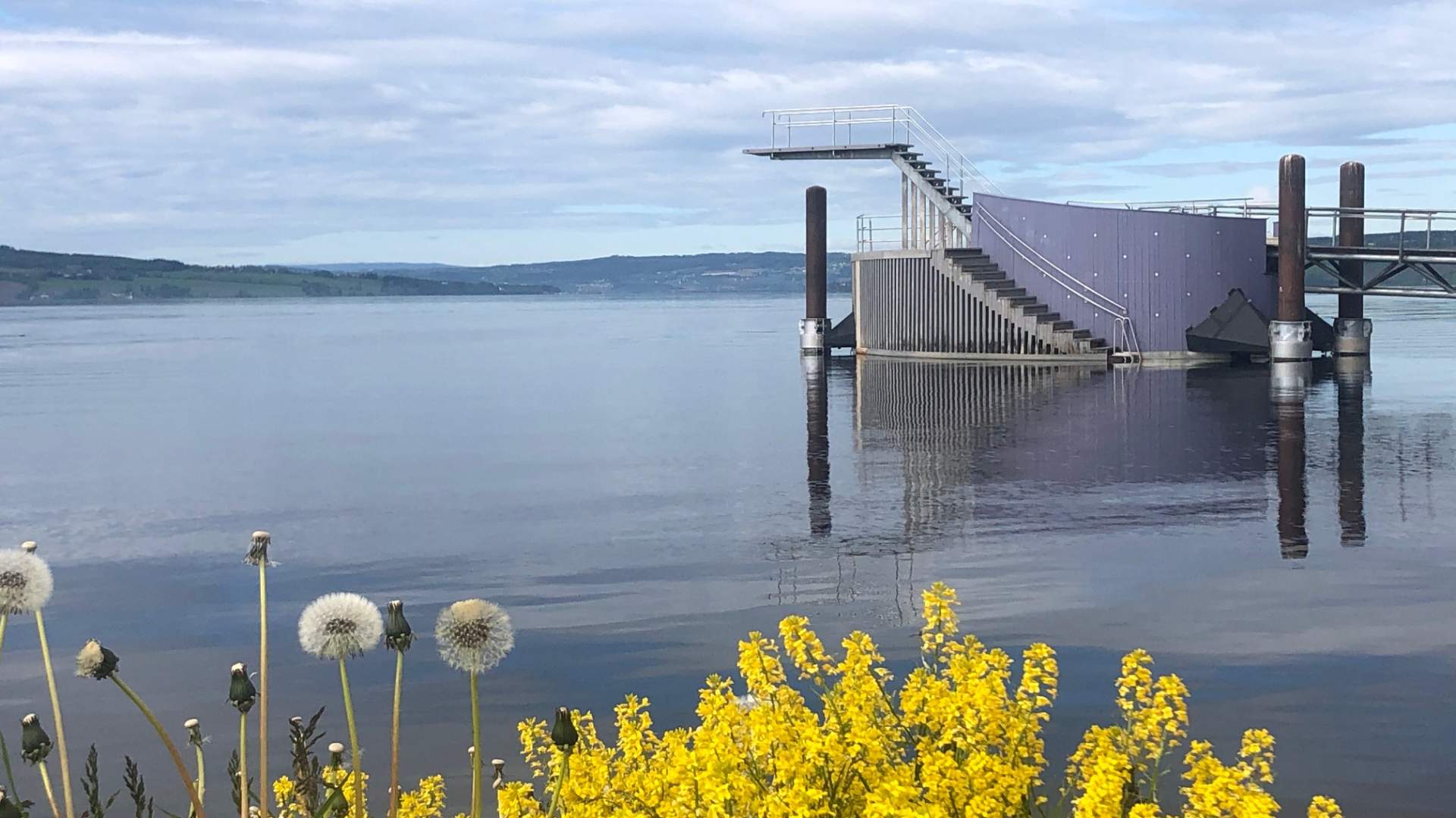 Stupetårn med gule blomster 2
