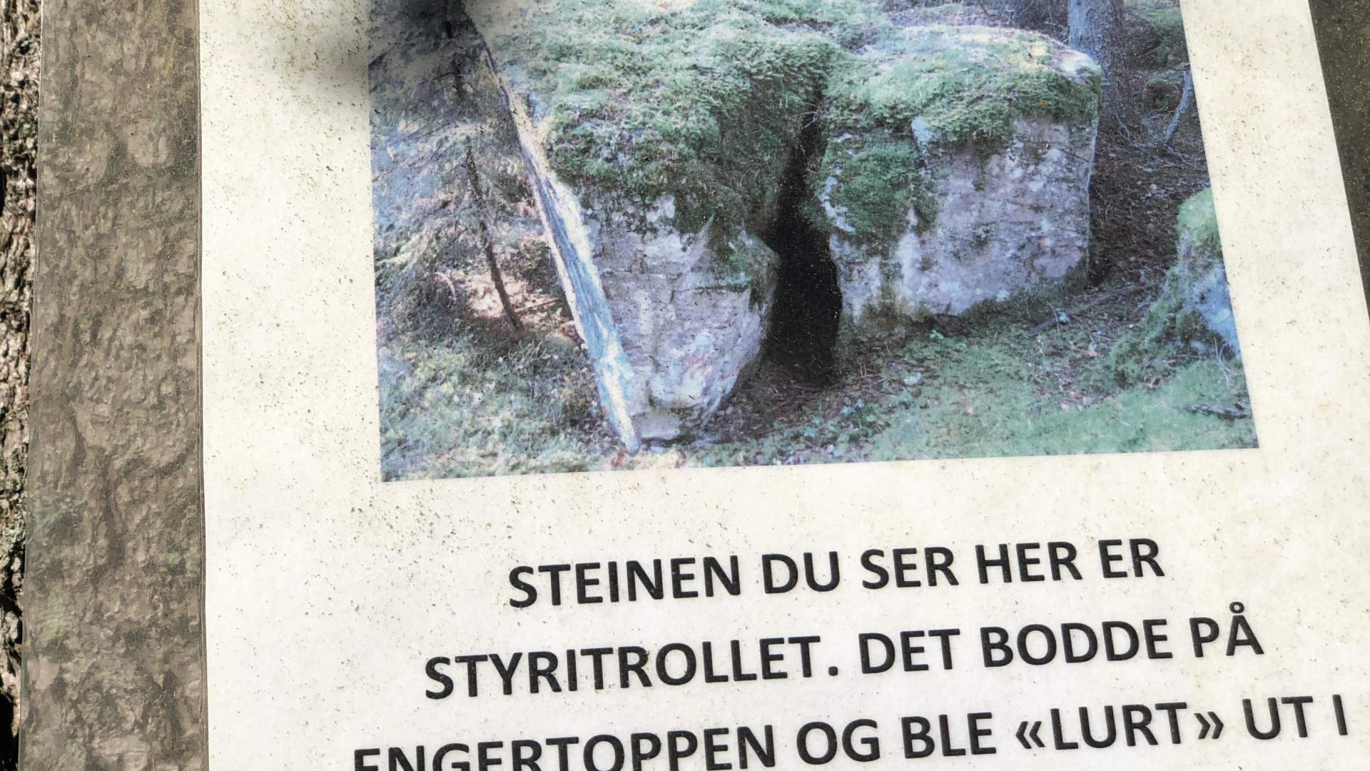 Styritrollet Bokkedalen