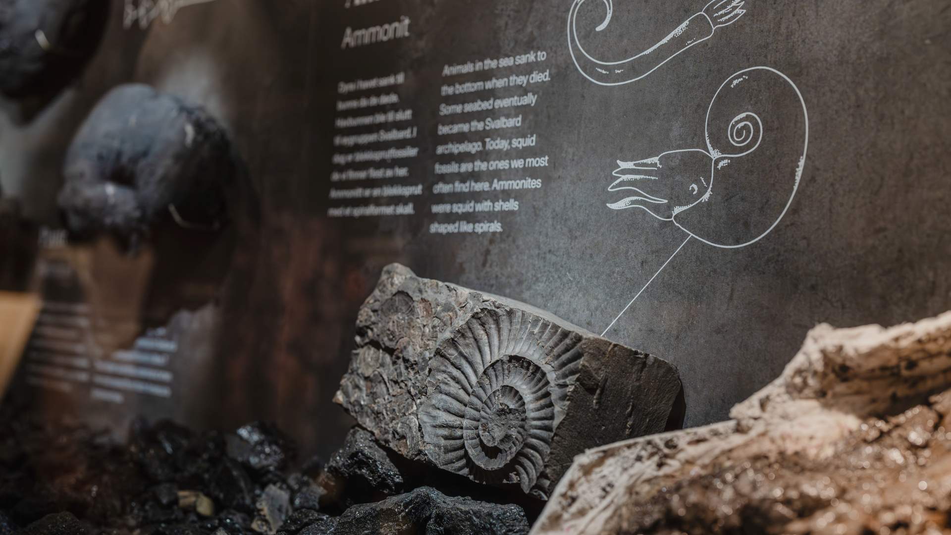 Svalbard-museum-foto-Ragnhild-Utne-08