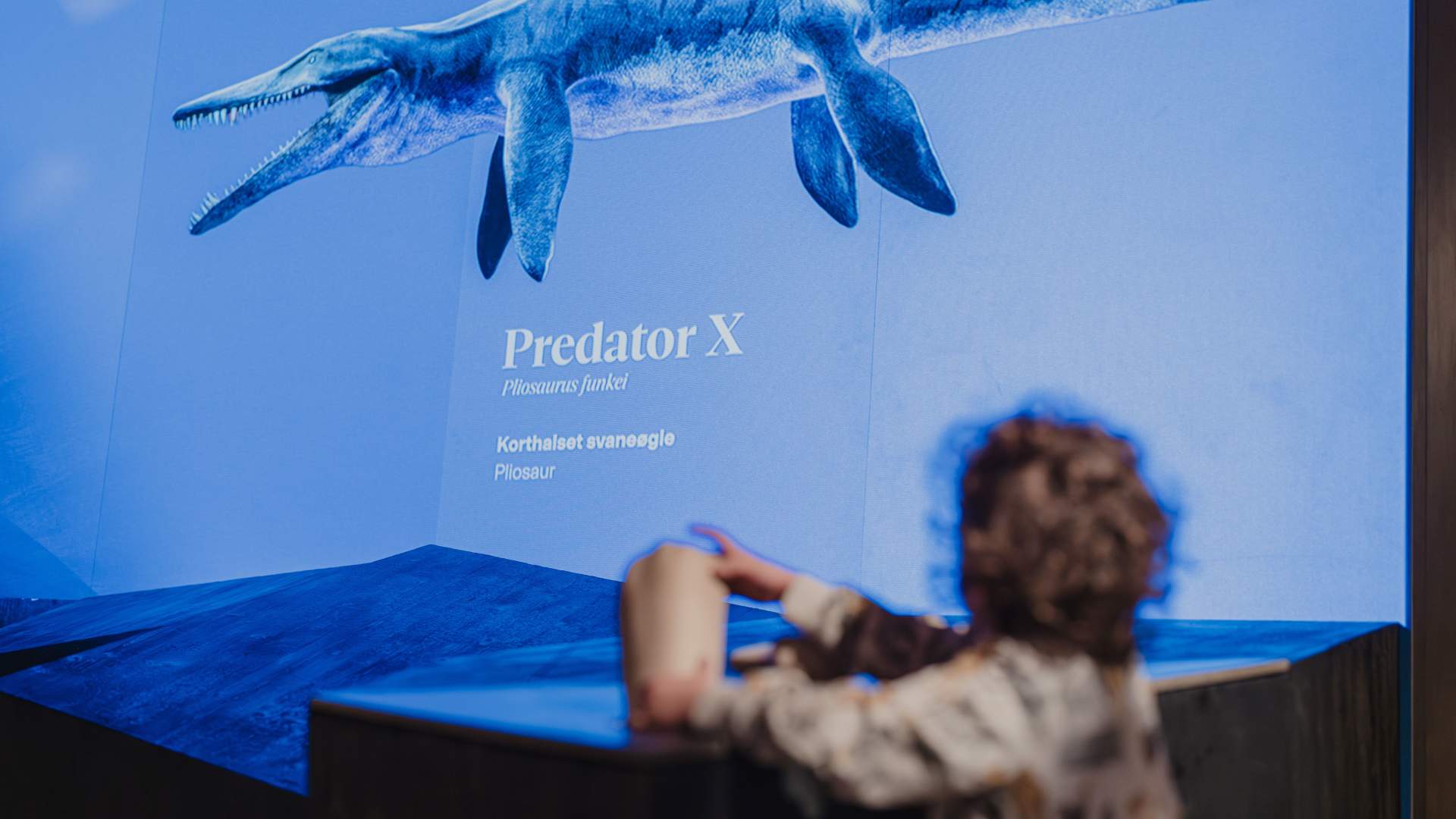 Svalbard-museum-foto-Ragnhild-Utne-36