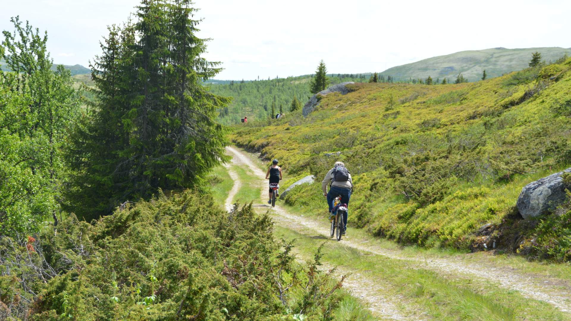 Sykling på grusveg Svartfjell Foto Julia Hamre_preview