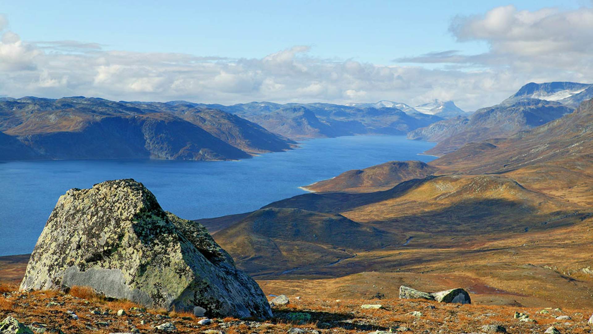 Synshorn_20060929008