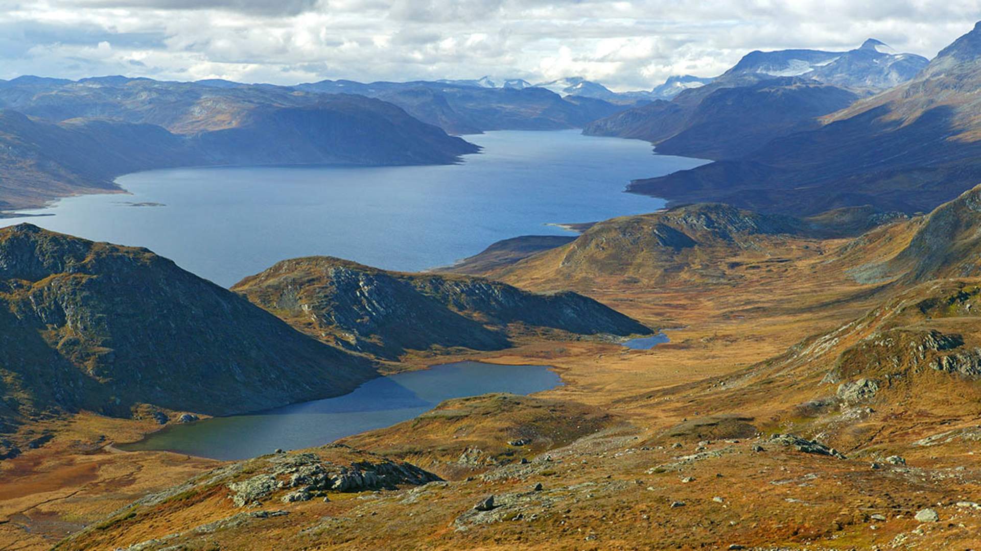 Synshorn_20060929011