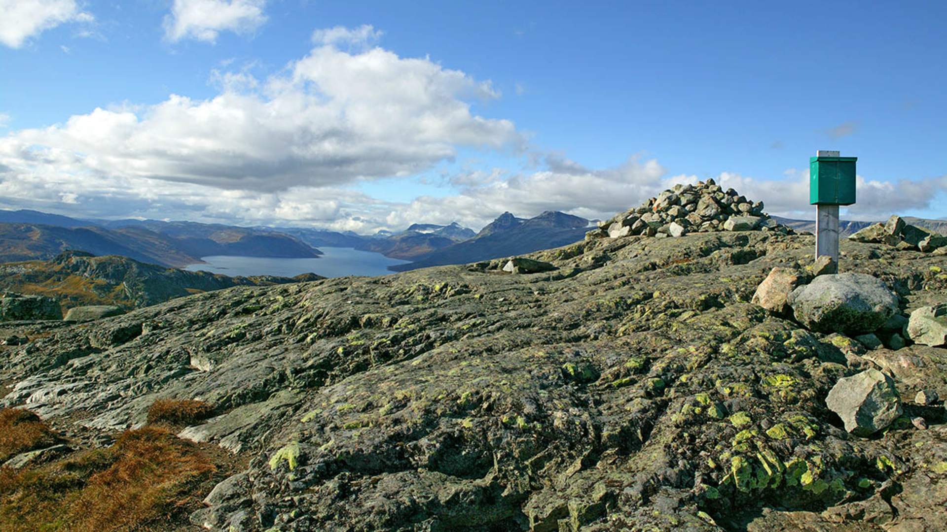 Synshorn_20060929016