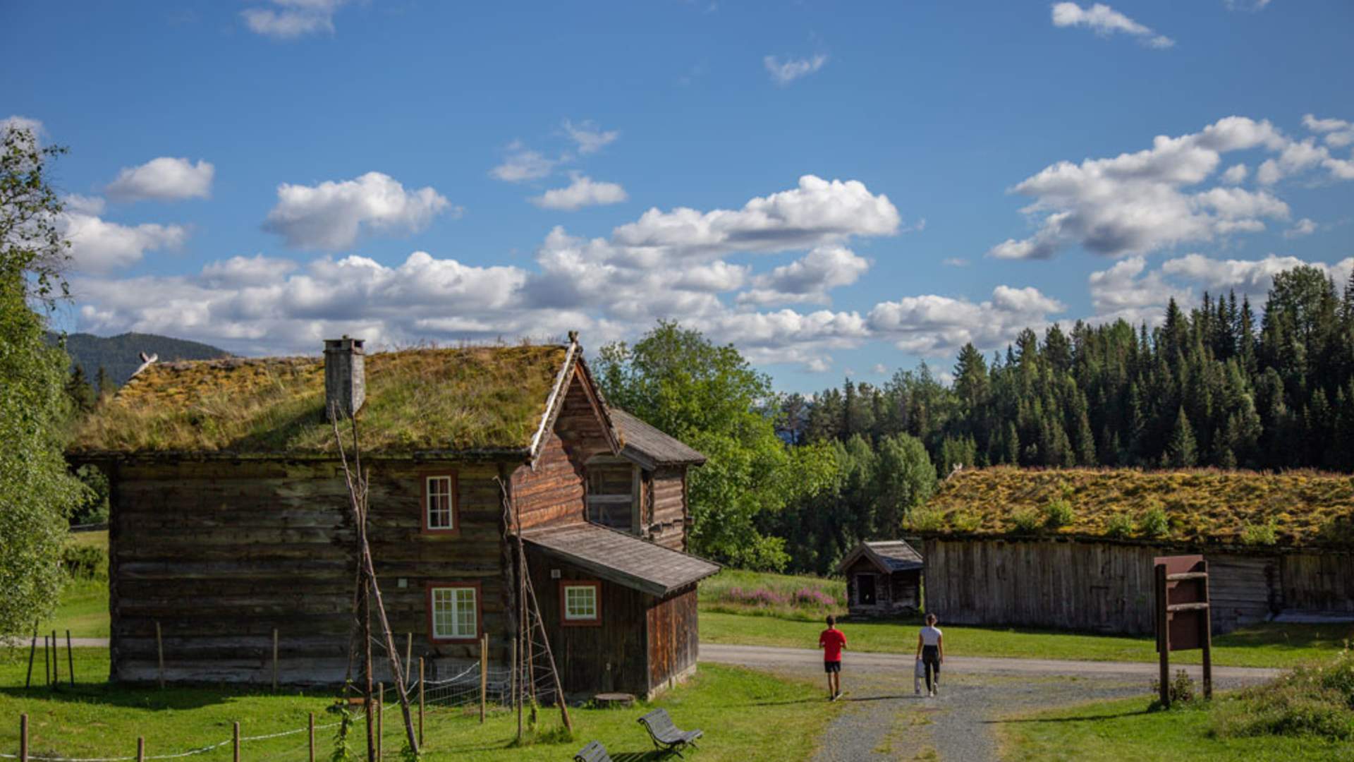 VTM Eidsborg foto Hamish Moore 4