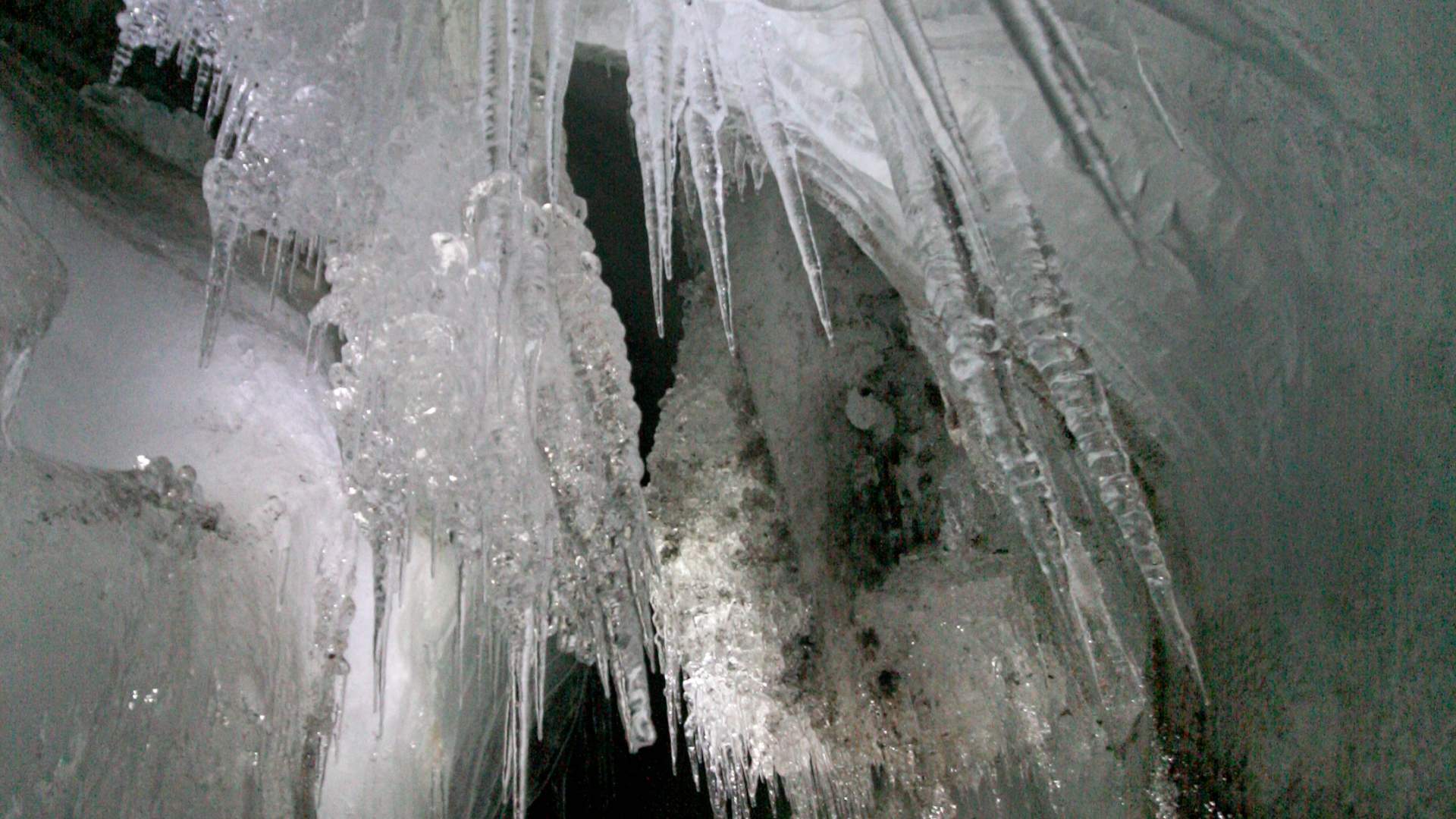 Tommy Simonsen IMG_4019 (1)