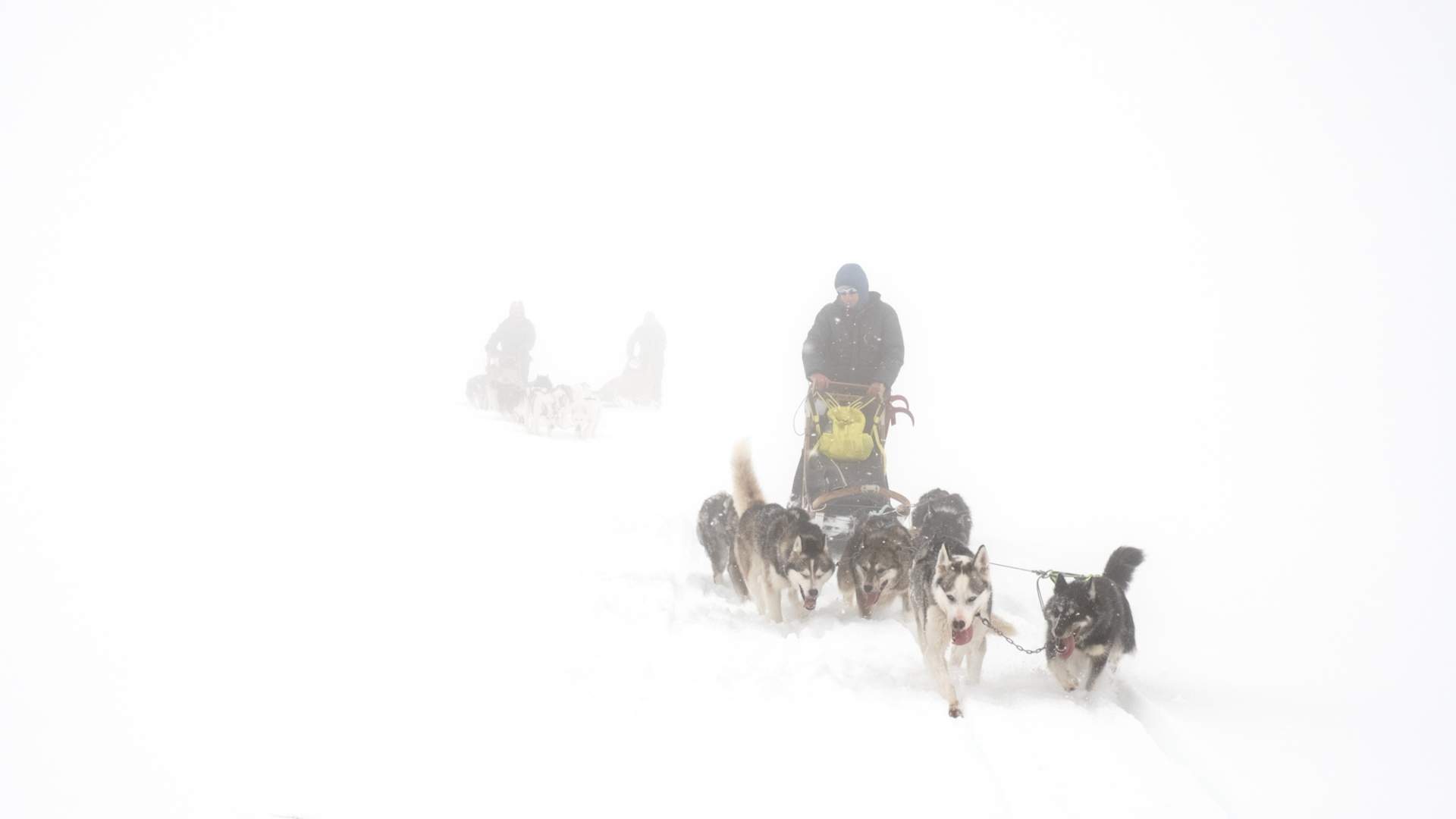 Tommy Simonsen _DSF4883-Edit