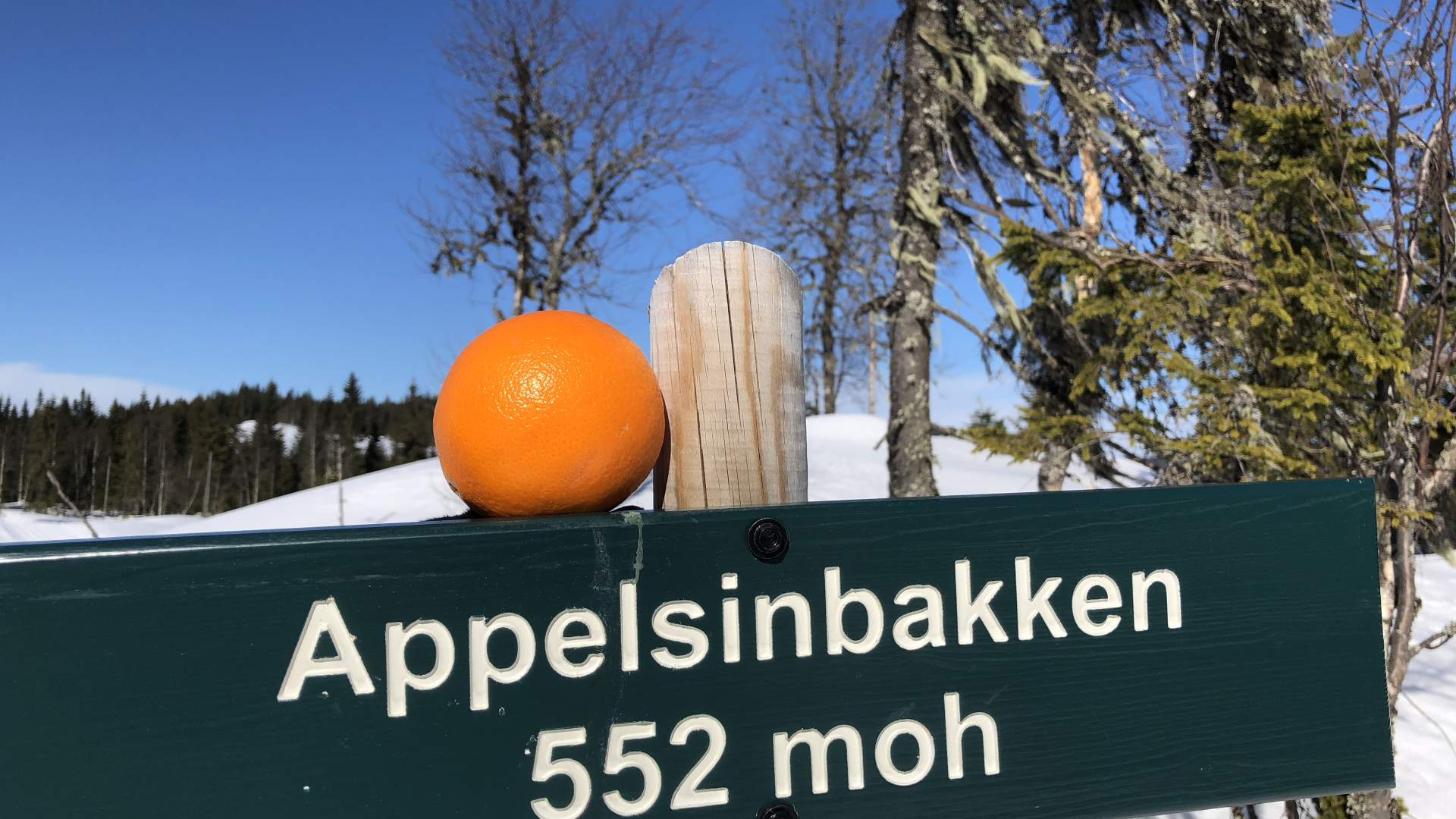 Totenaasen_vinter_skilt_Appelsinbakken_Foto_Heidi_Gran