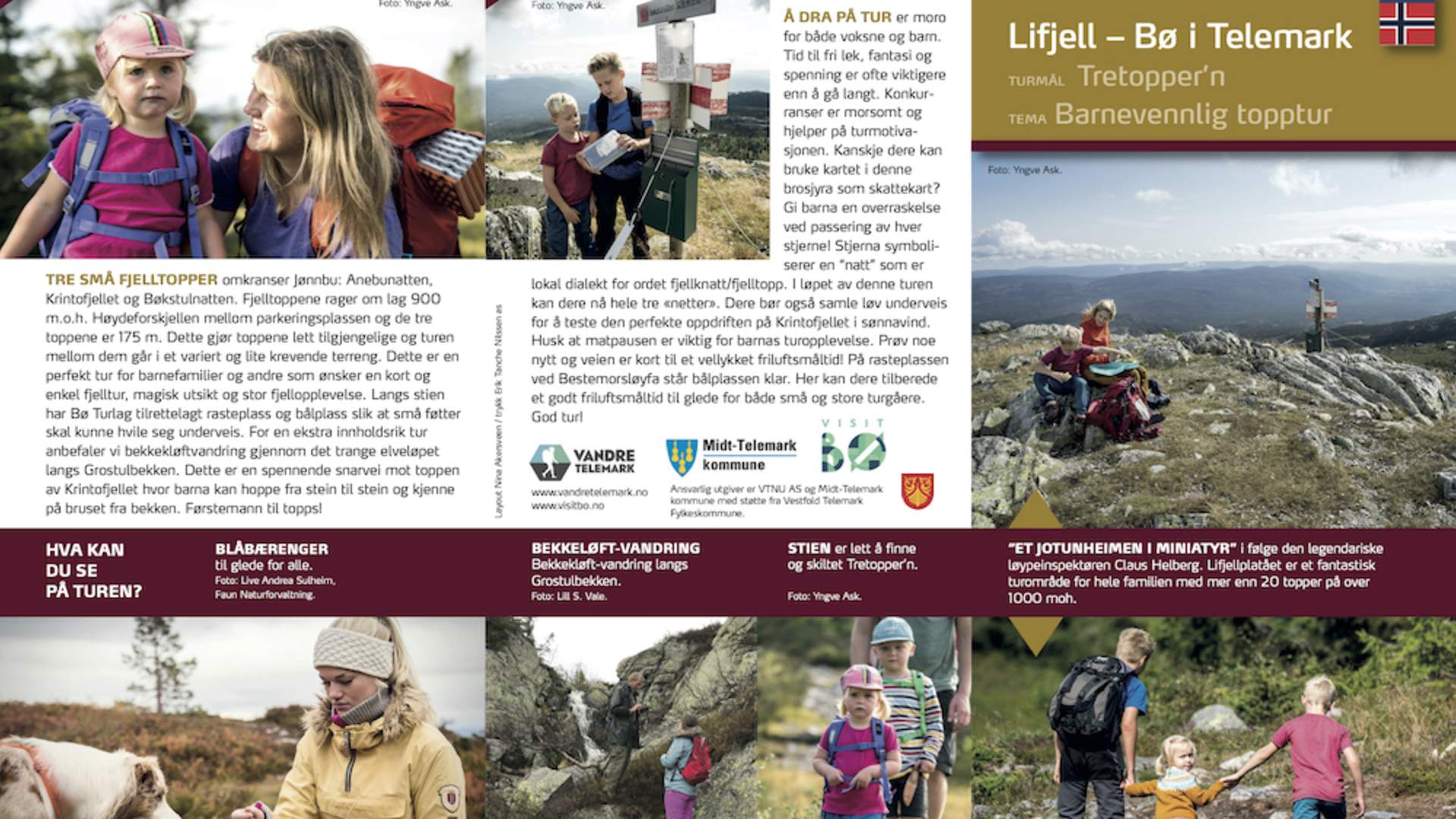 Tretopper_n Lifjell norsk jan. 2021-2