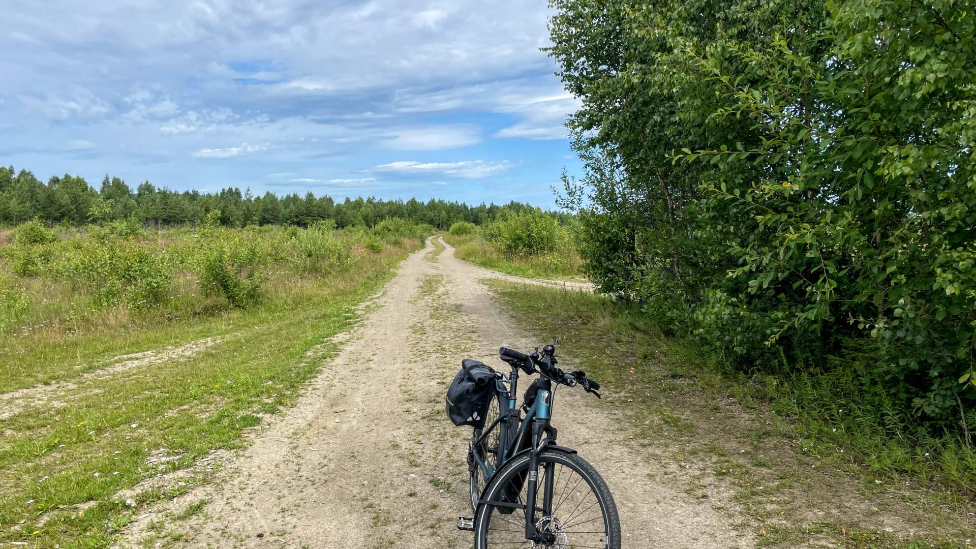 Turvei Trandumskogen